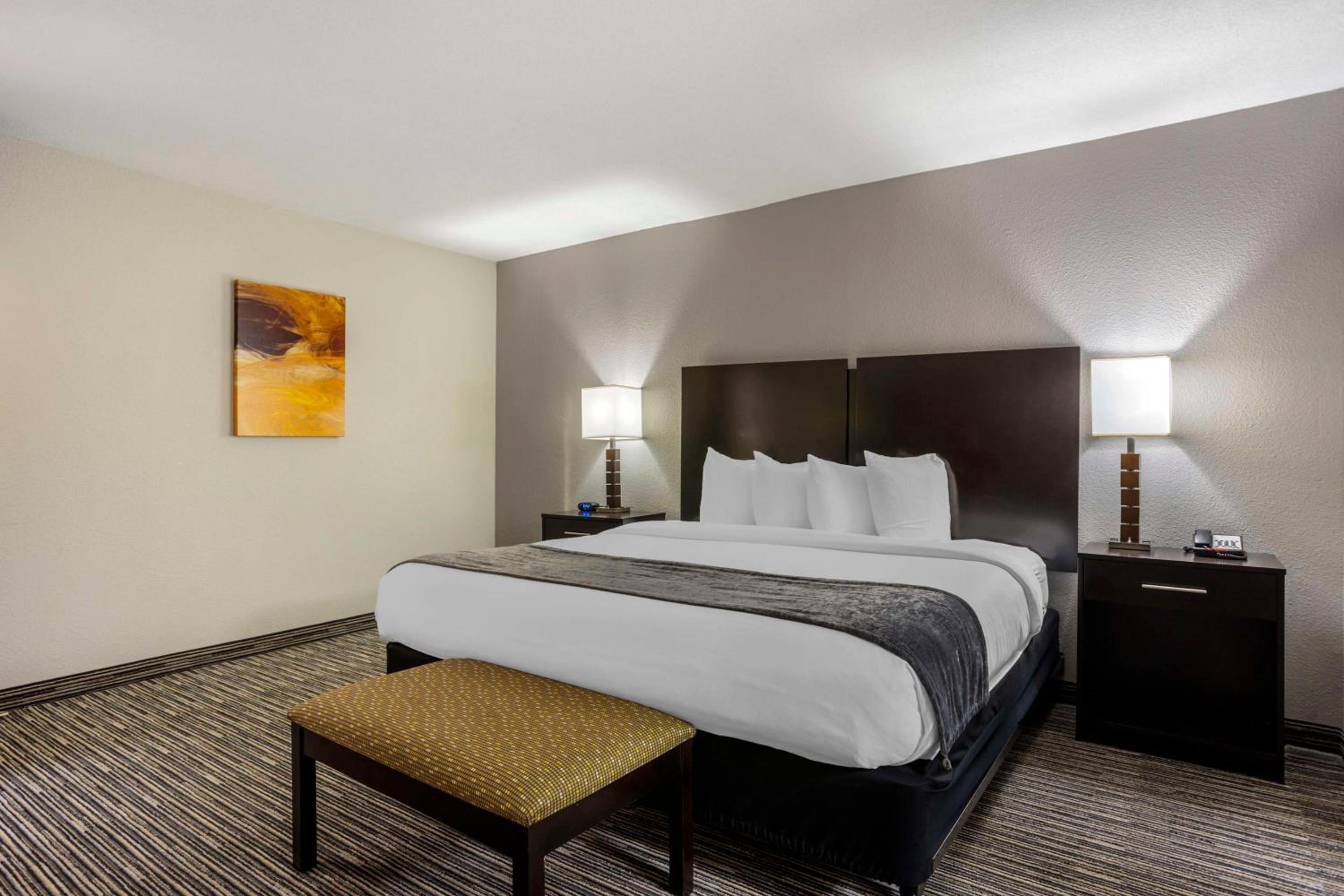 Deluxe King Suite - Non-Smoking - Photo 2