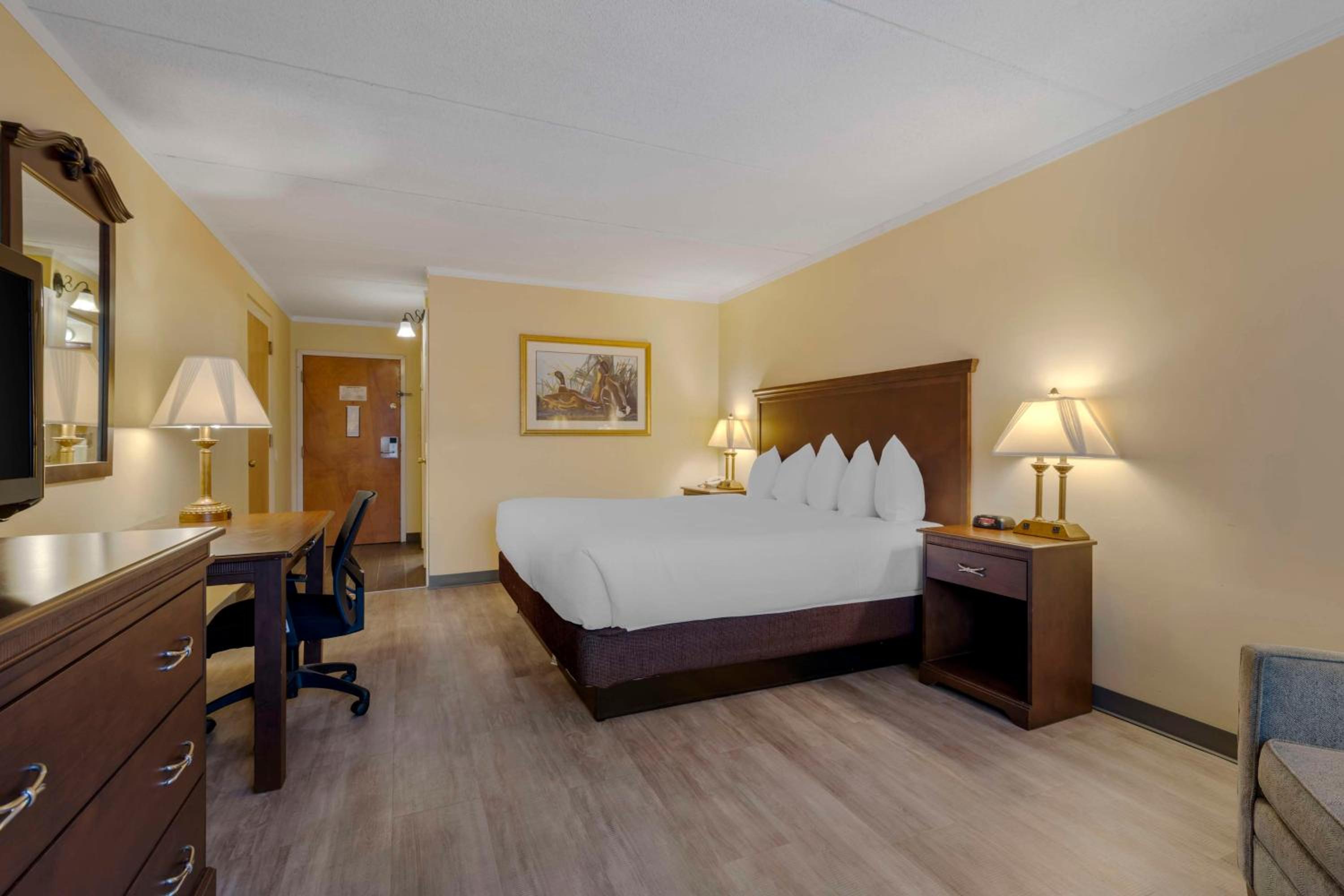 Disability Access- 1 Double Bed - Photo 5