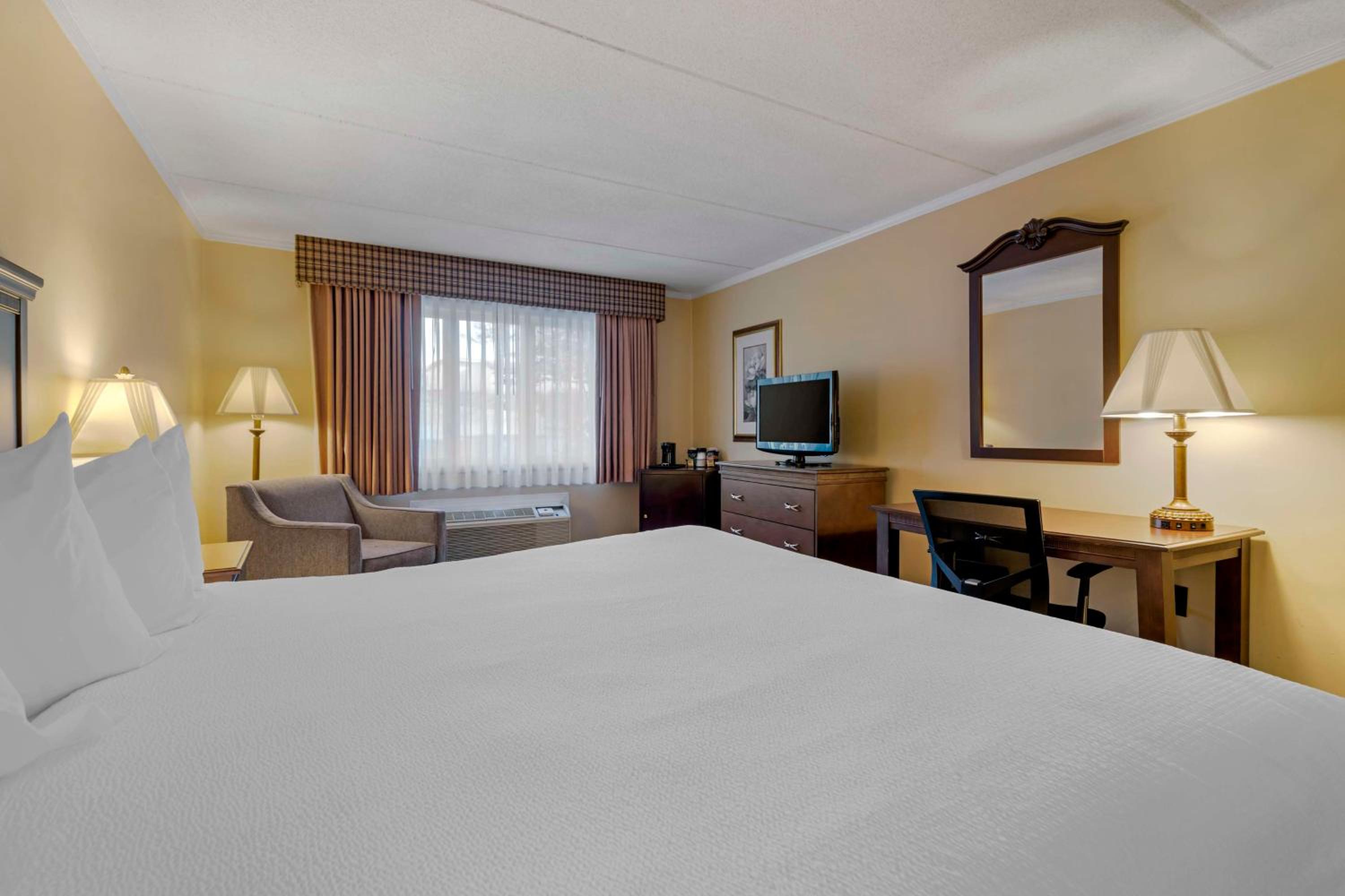 Disability Access- 1 Double Bed - Photo 2