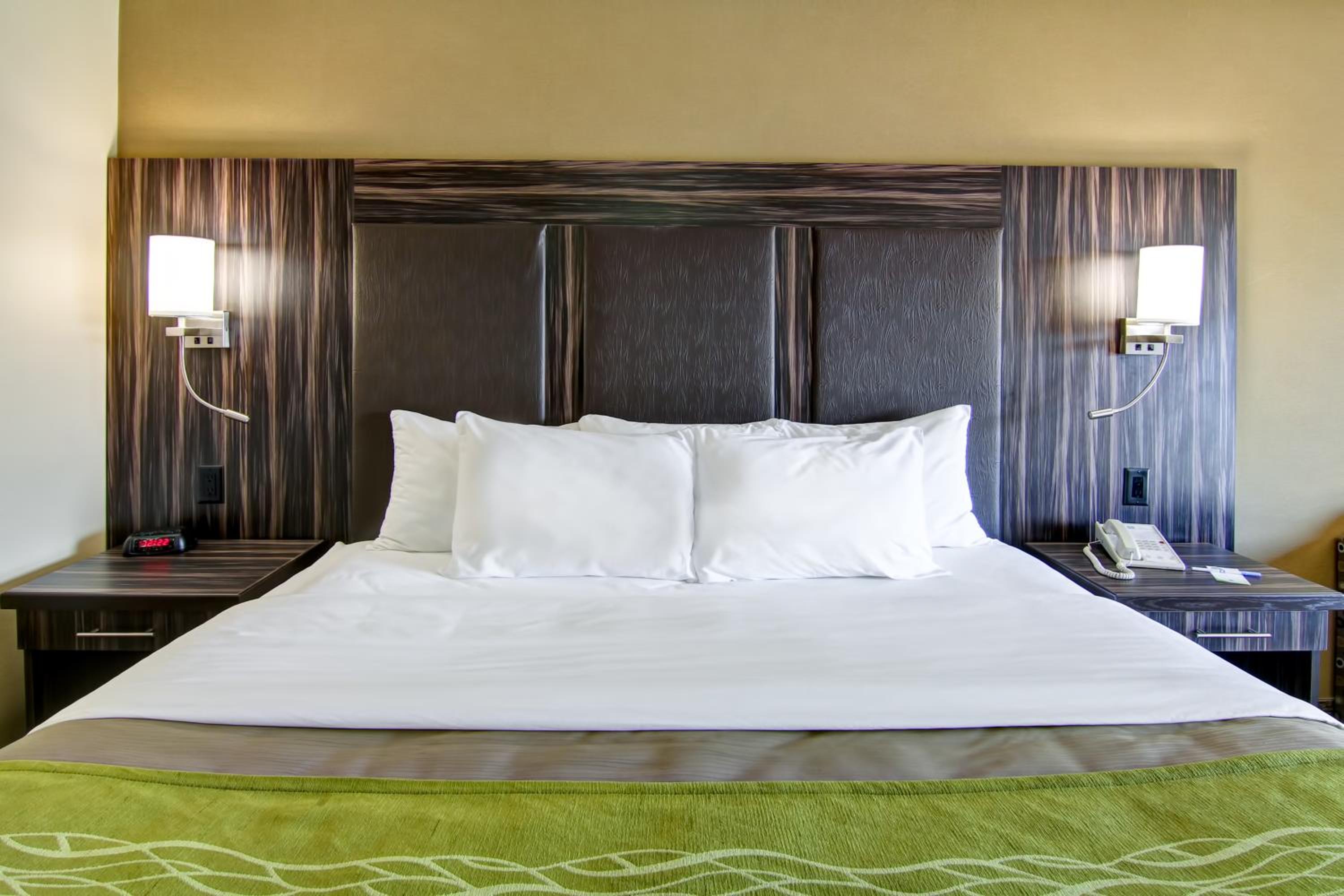 King Room - Ground Floor - Non-Smoking - Pet Friendly - Photo 7