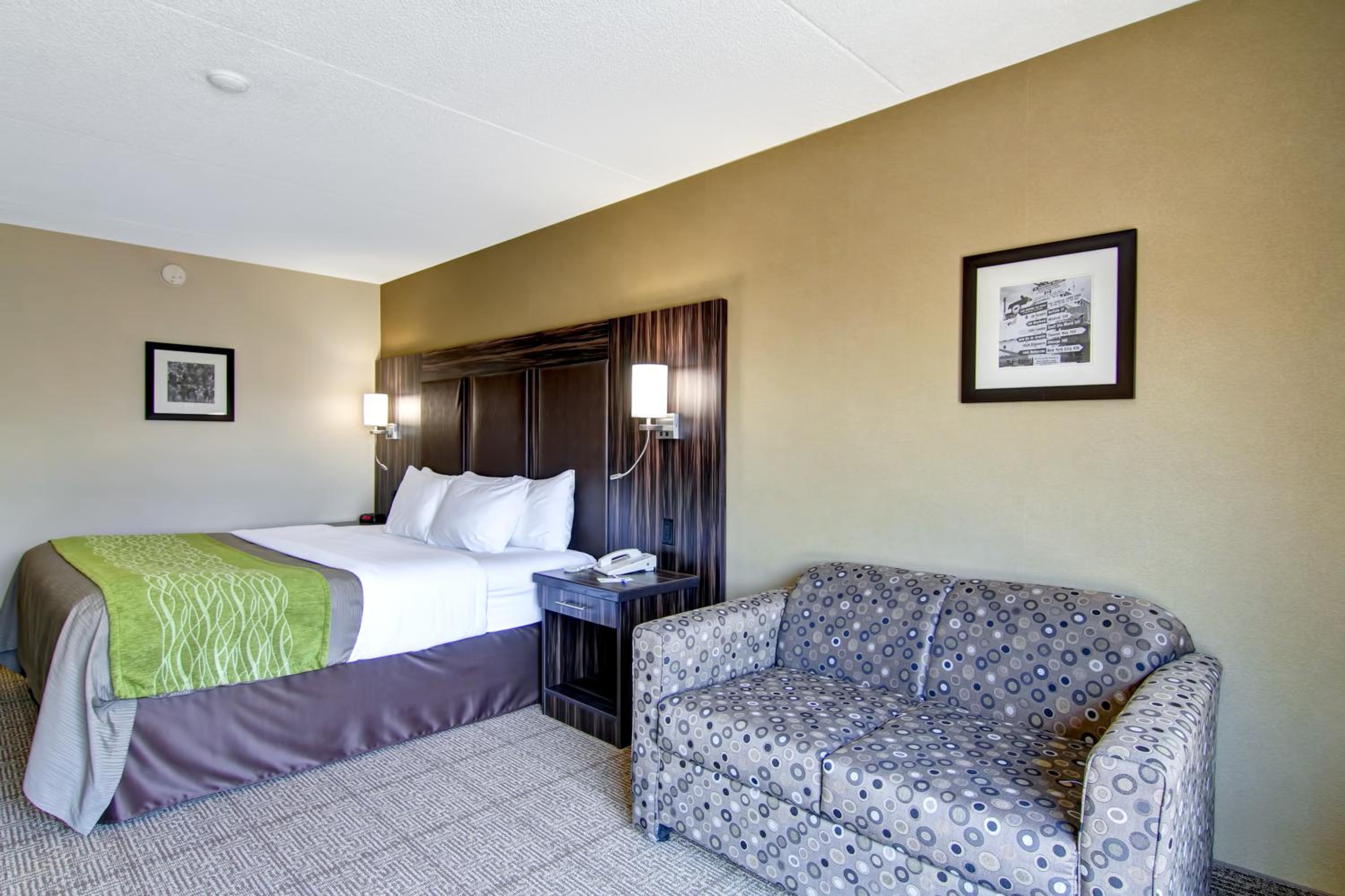 King Room - Ground Floor - Non-Smoking - Pet Friendly - Photo 9