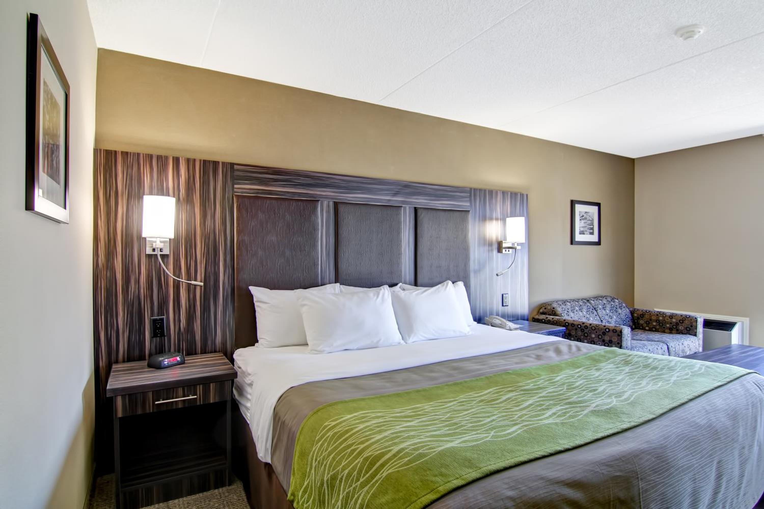 King Room - Ground Floor - Non-Smoking - Pet Friendly - Photo 2