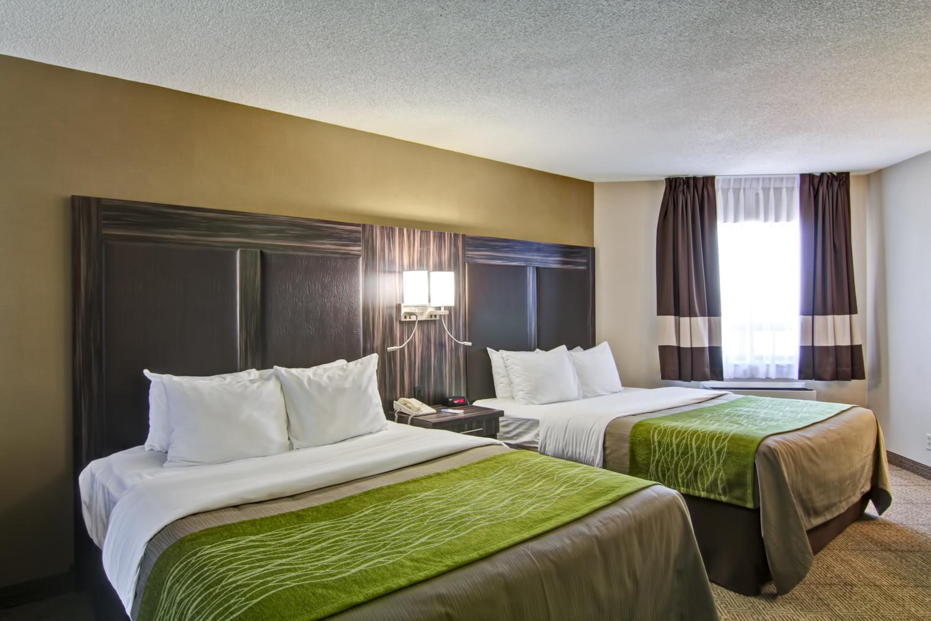 Queen Room with Two Queen Beds - Ground Floor - Non-Smoking - Pet Friendly - Photo 1