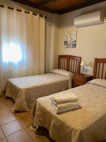 Standard Twin Room photo 2
