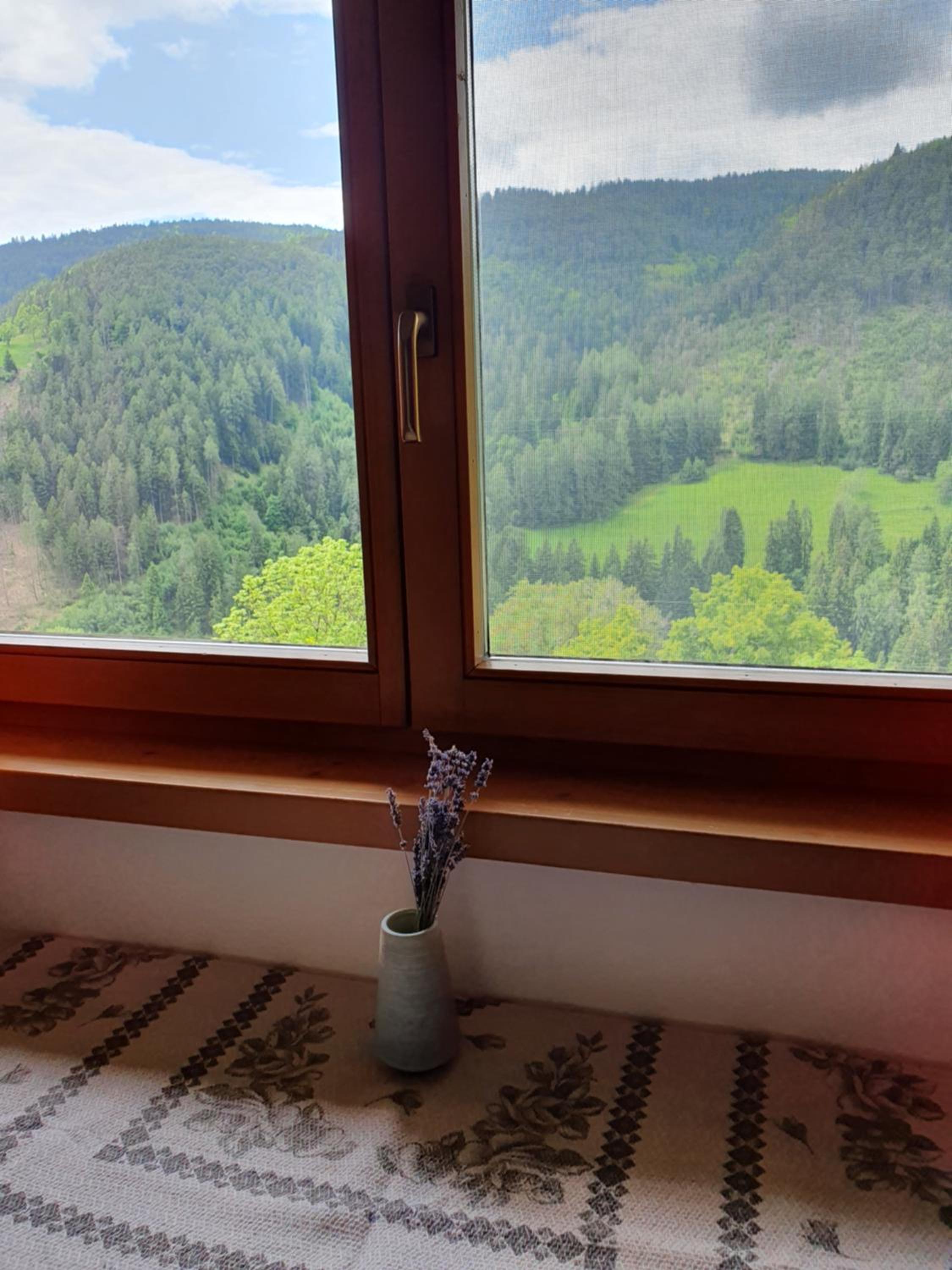 Apartment with Mountain View photo 3