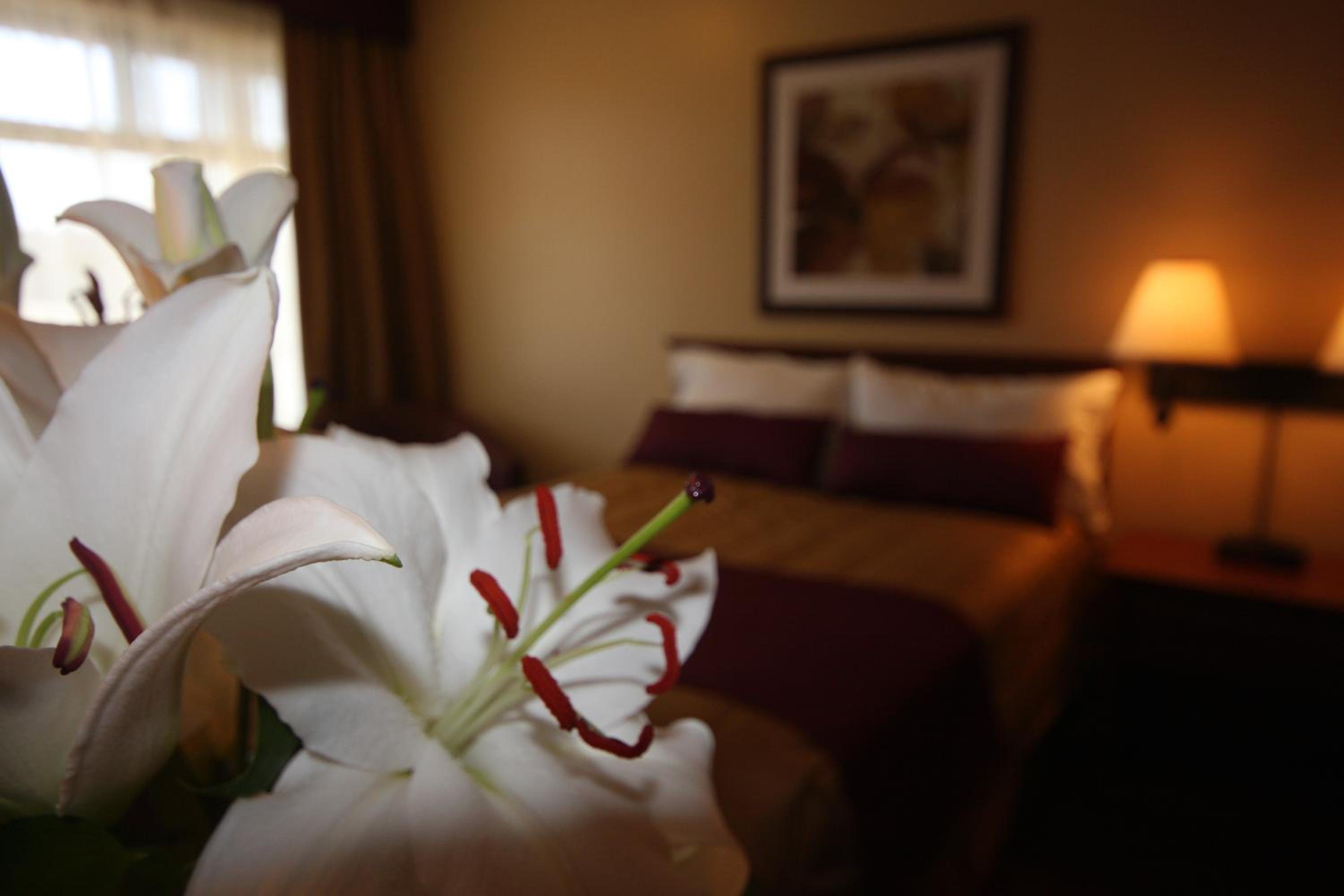 Standard Double Room with Two Double Beds photo 1