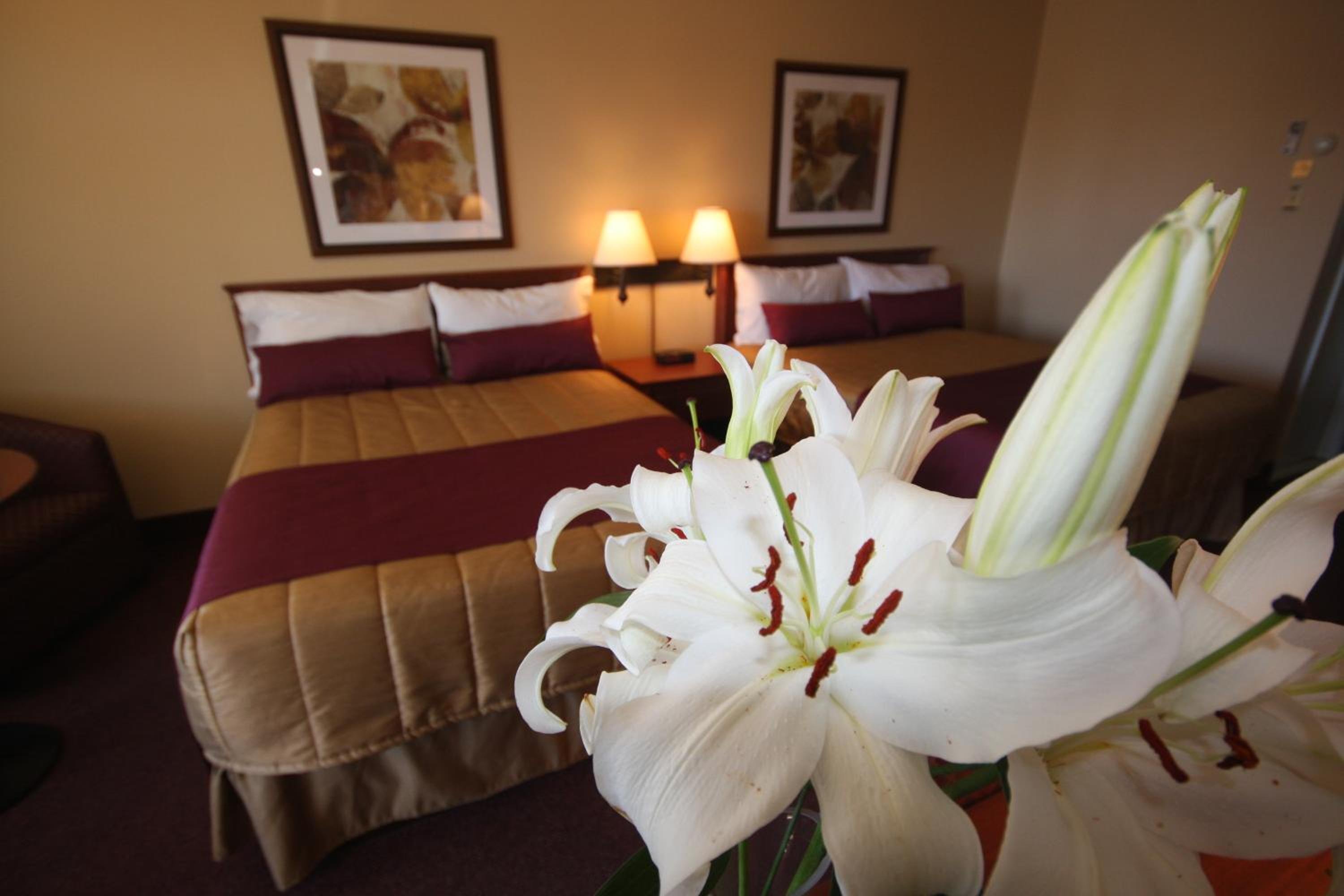 Standard Double Room with Two Double Beds photo 2