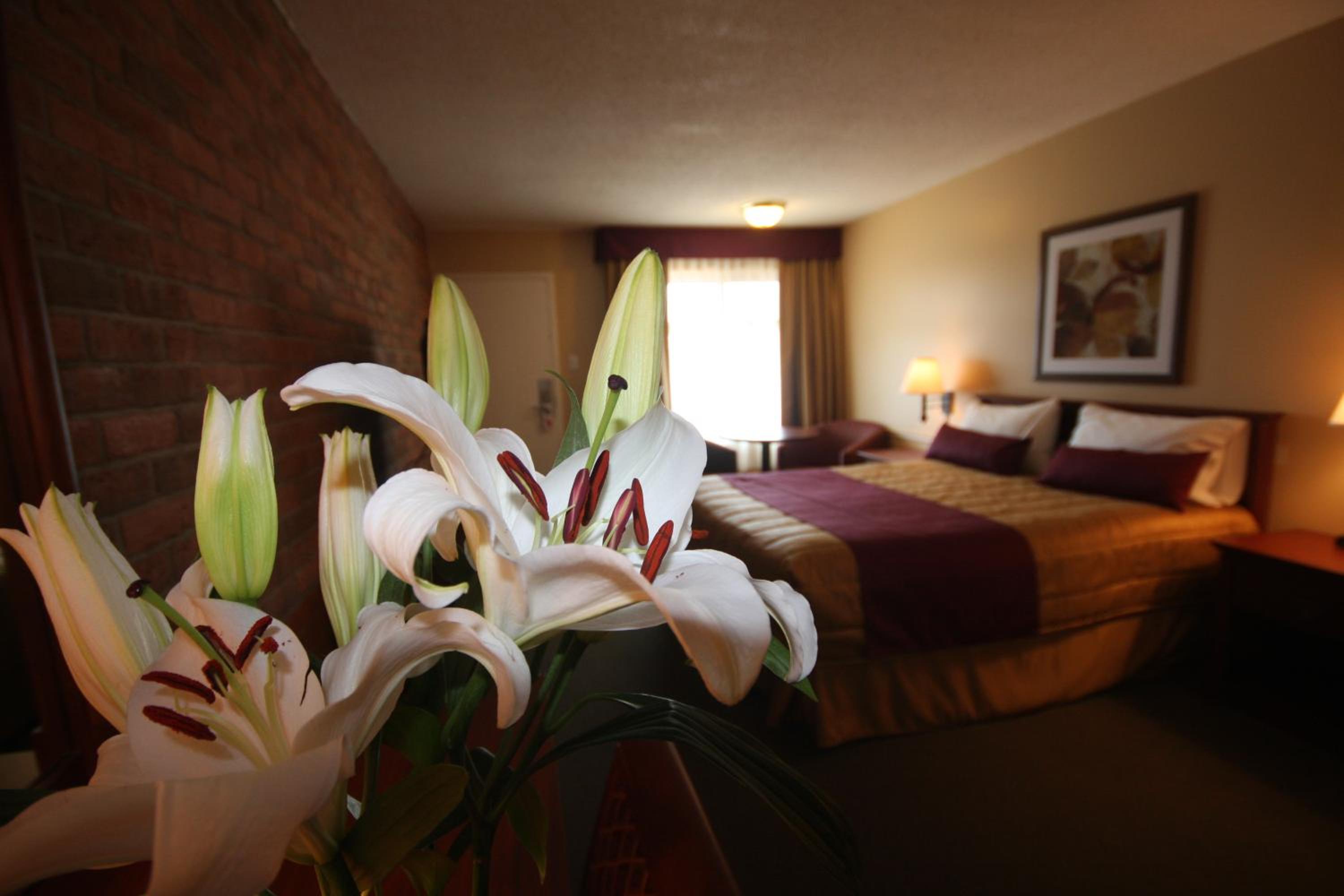 Standard Queen Room photo 3