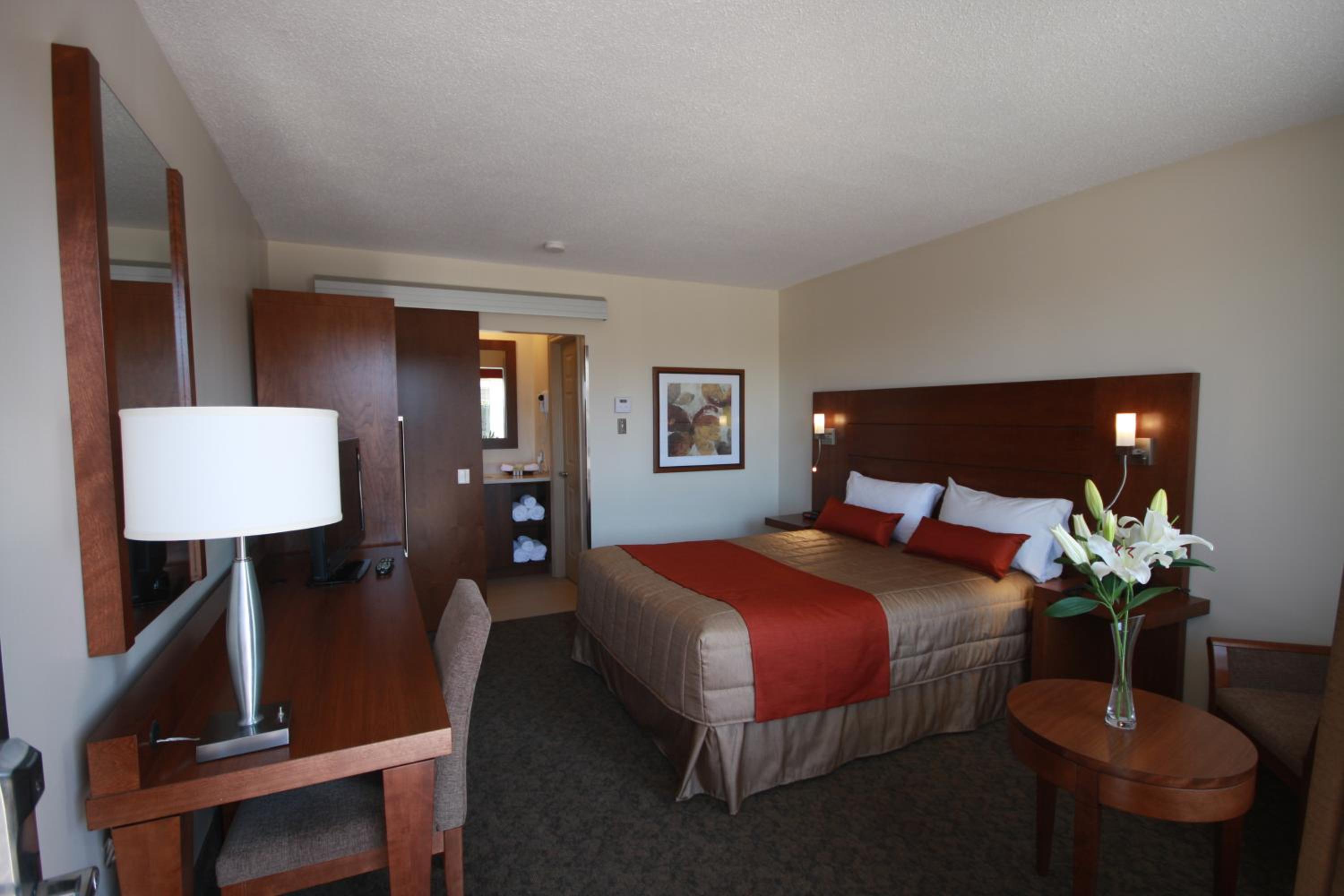 Superior Queen Room photo 1