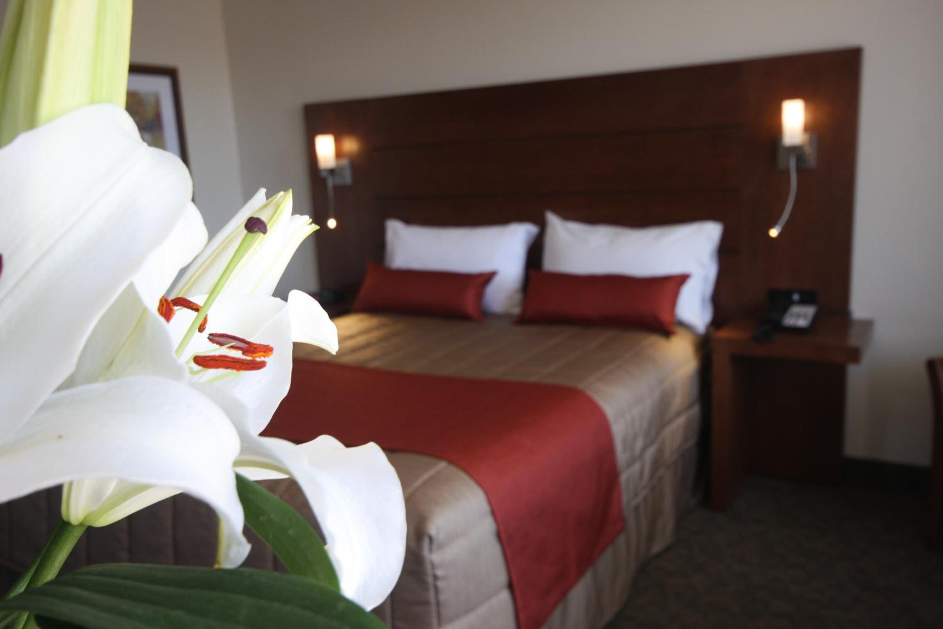 Superior Queen Room photo 3