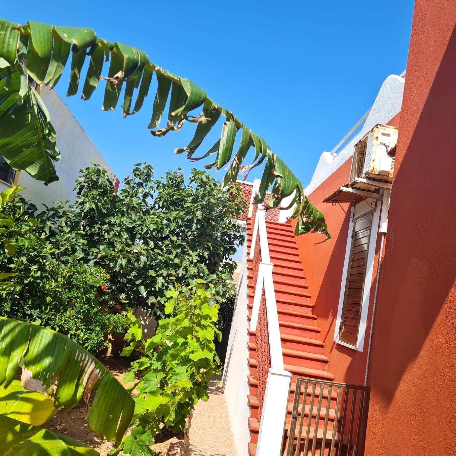 Apartment with Terrace photo 3
