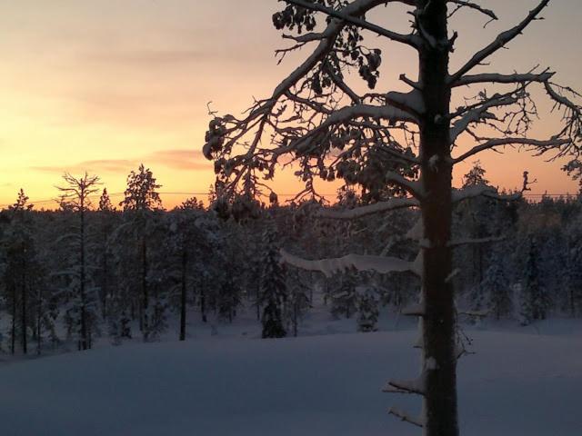 Vacation Home photo 2
