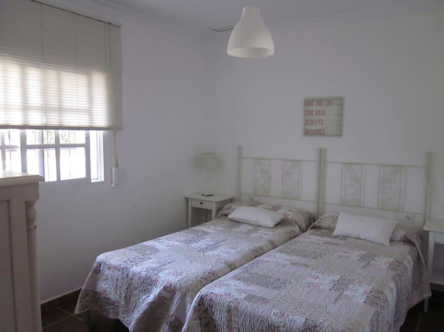 Four-Bedroom House photo 3