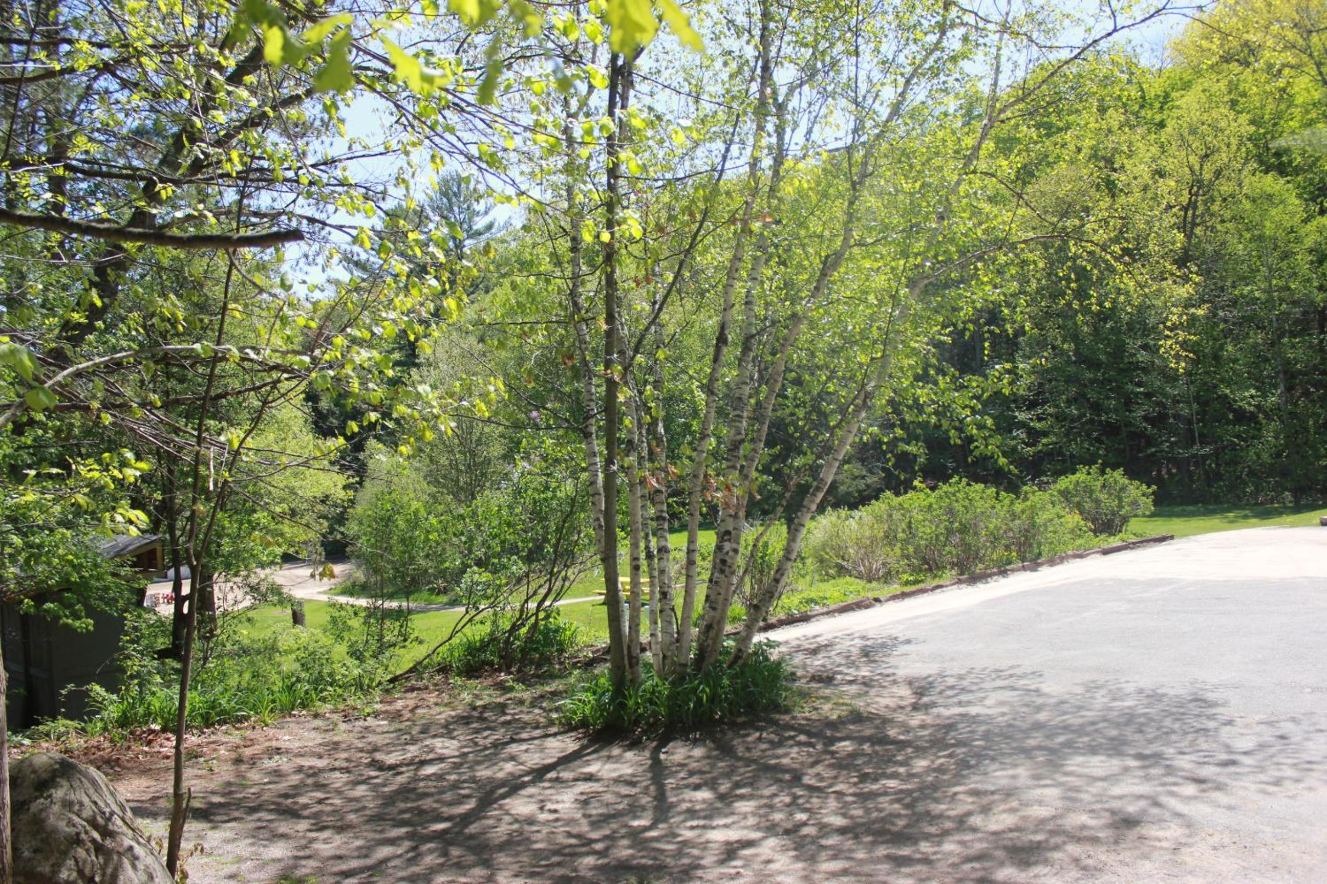 Chalet - Photo 5
