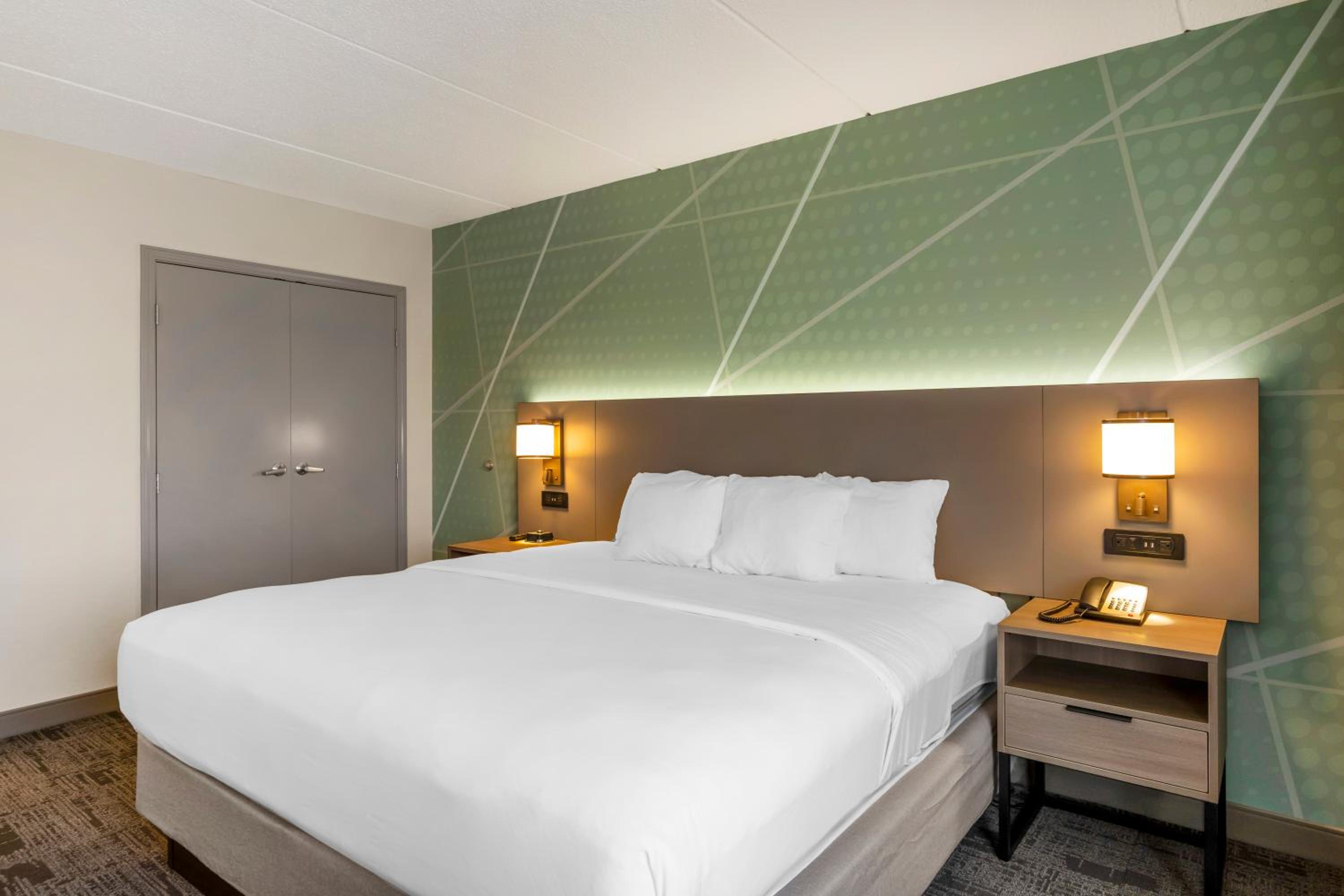 King Suite with Sofa Bed - Non-Smoking - Photo 7