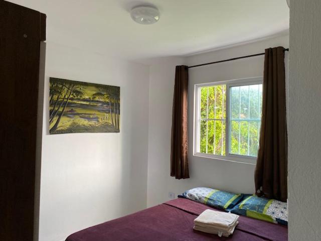 Apartment - Photo 15