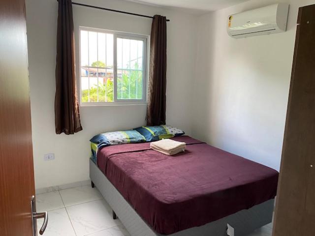 Apartment - Photo 14