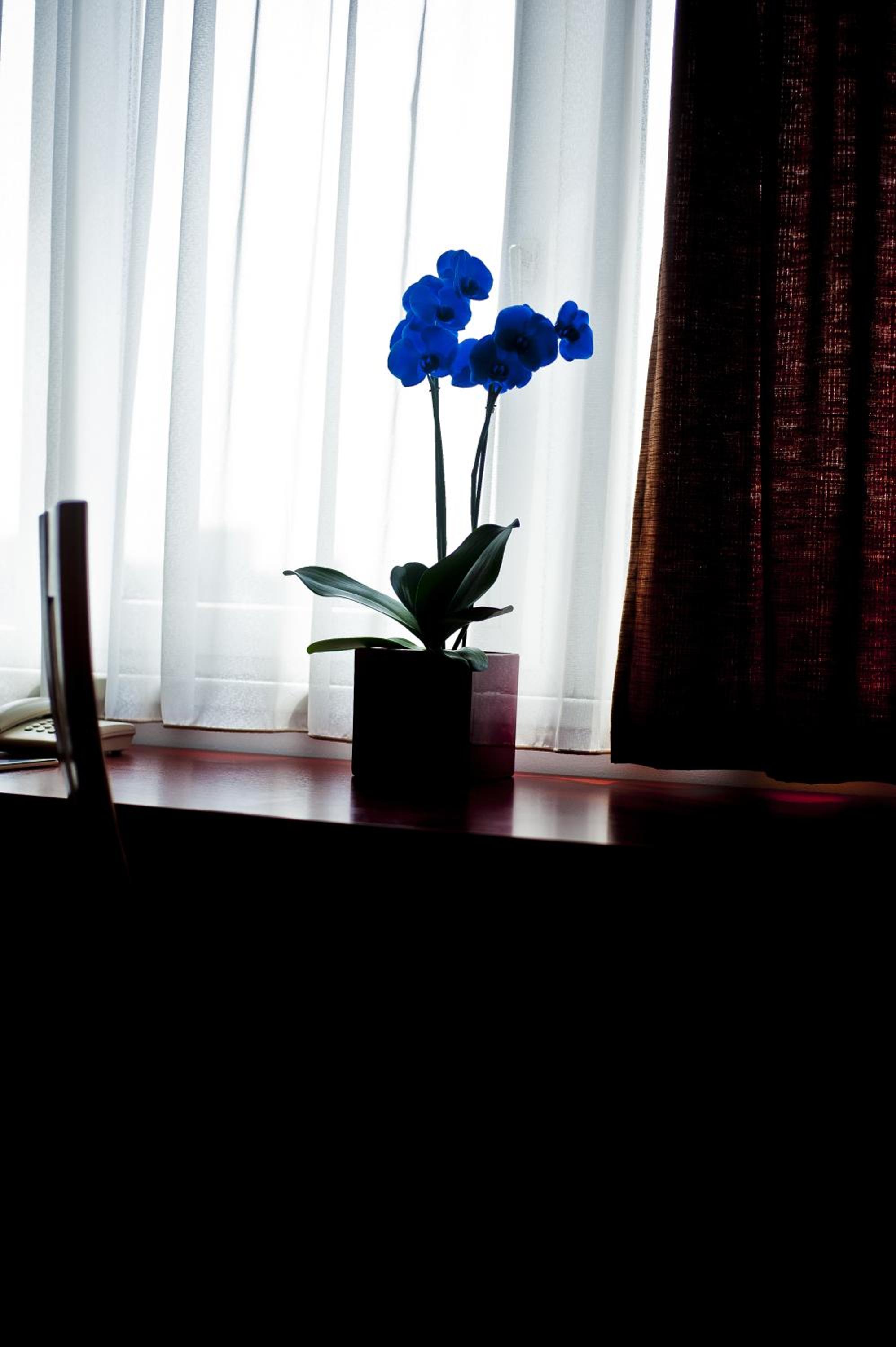 Standard Queen Room - Photo 4