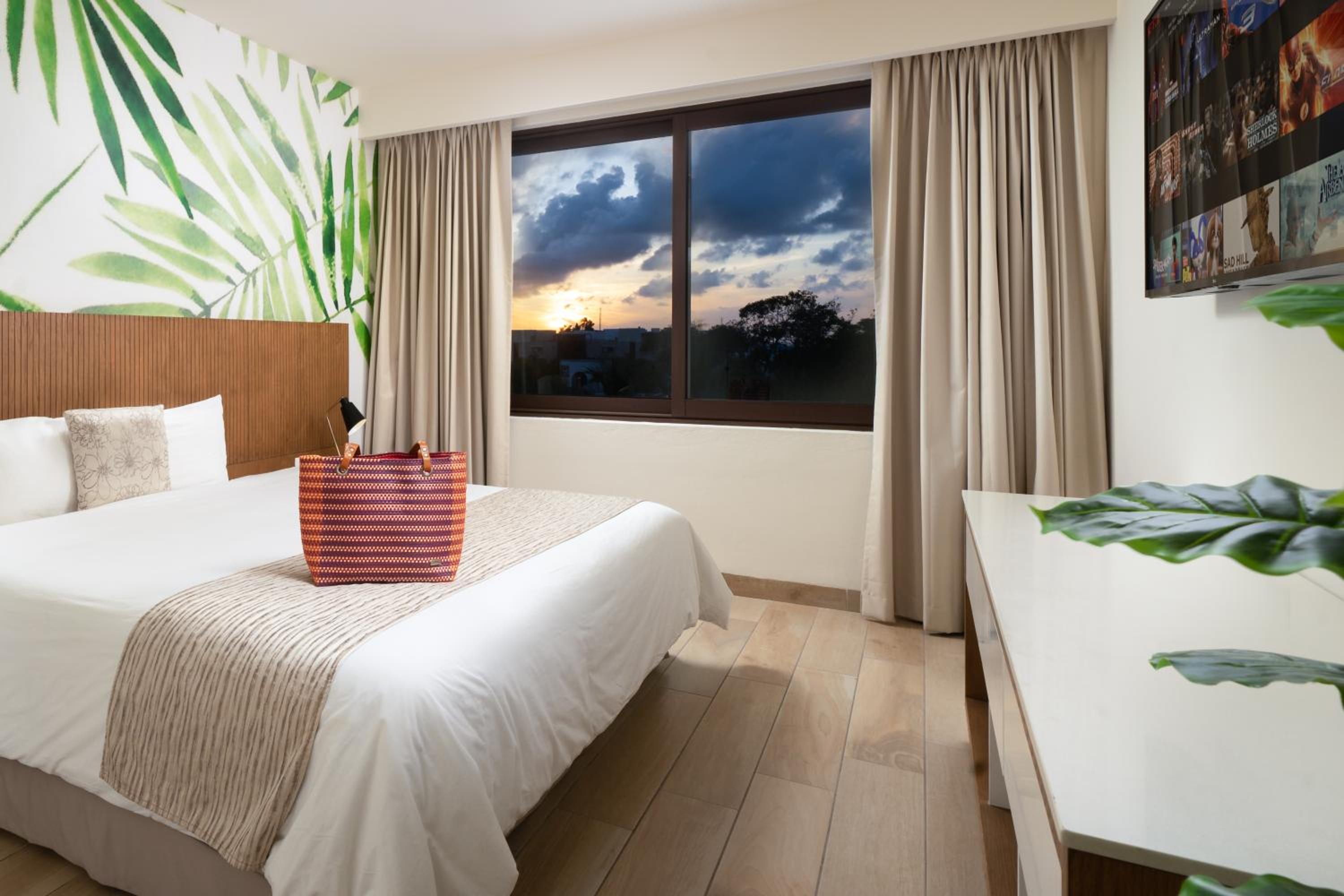 One-Bedroom Suite - Photo 30