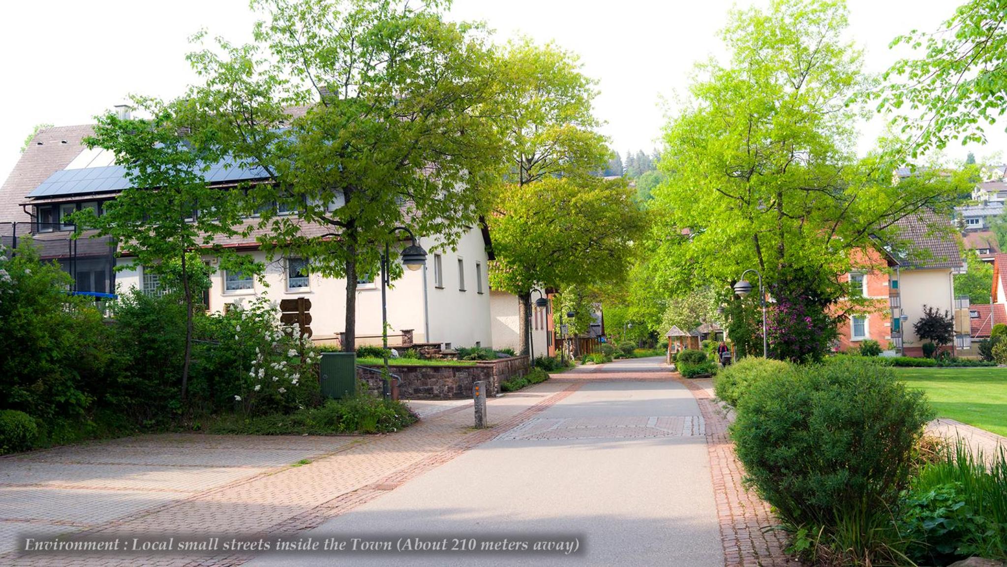 Vacation Home photo 3