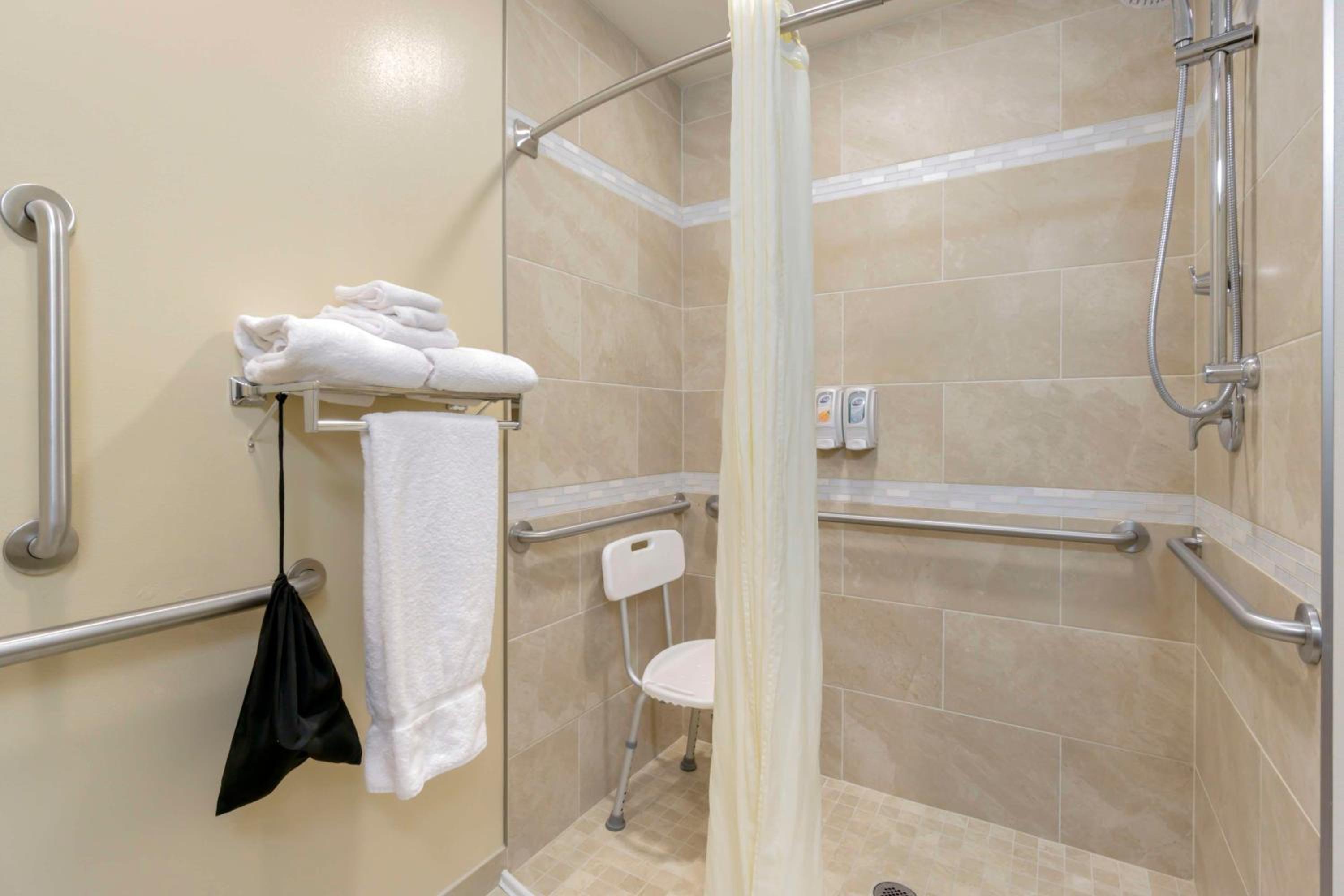 King Room with Roll-In Shower - Disability Access