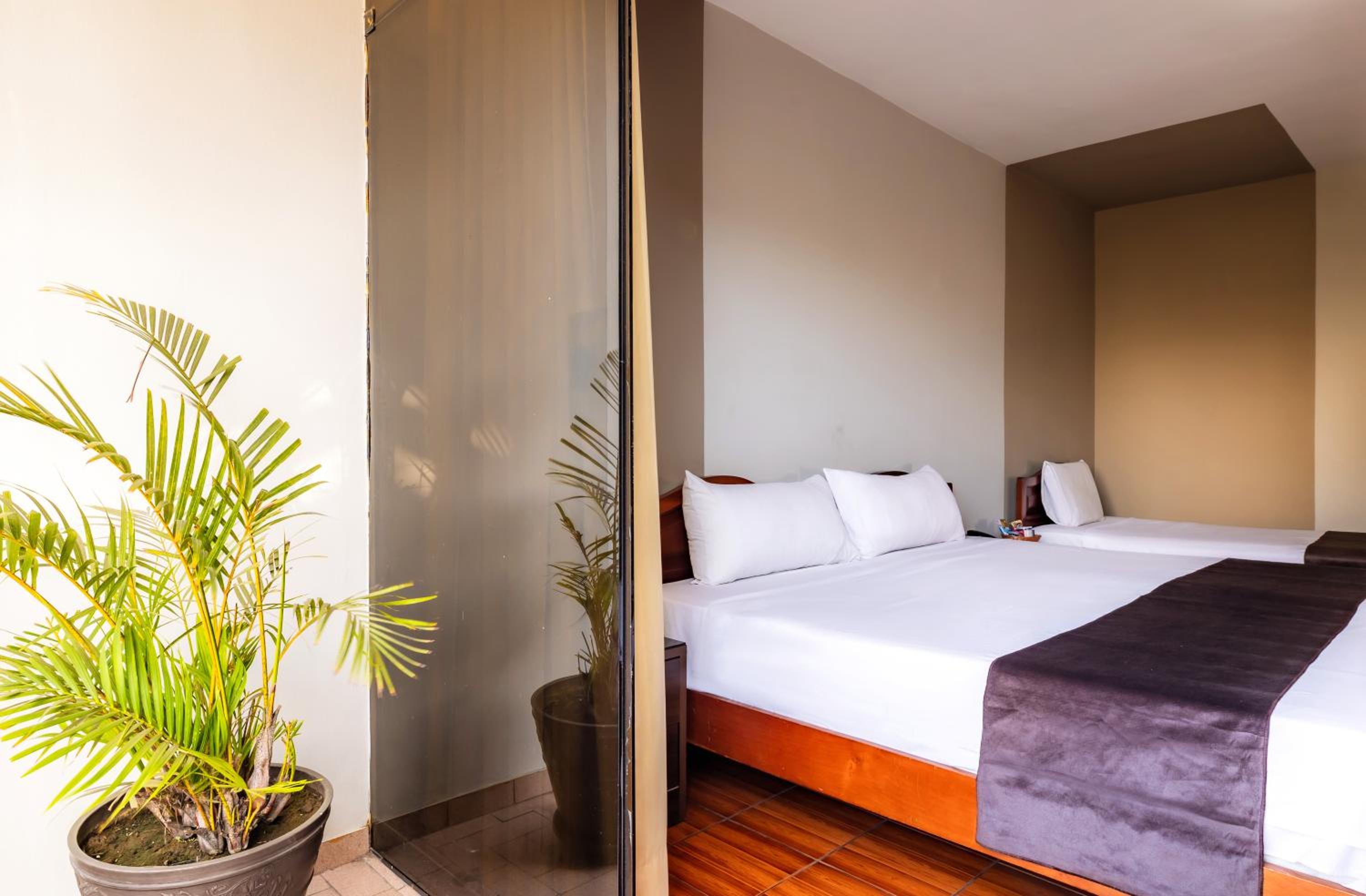 Deluxe Twin Room photo 1