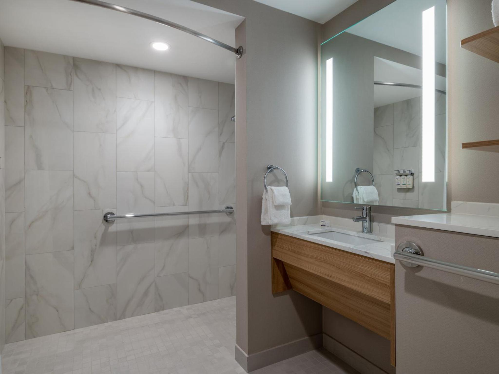 King Studio Suite with Roll-In Shower and View - Photo 2