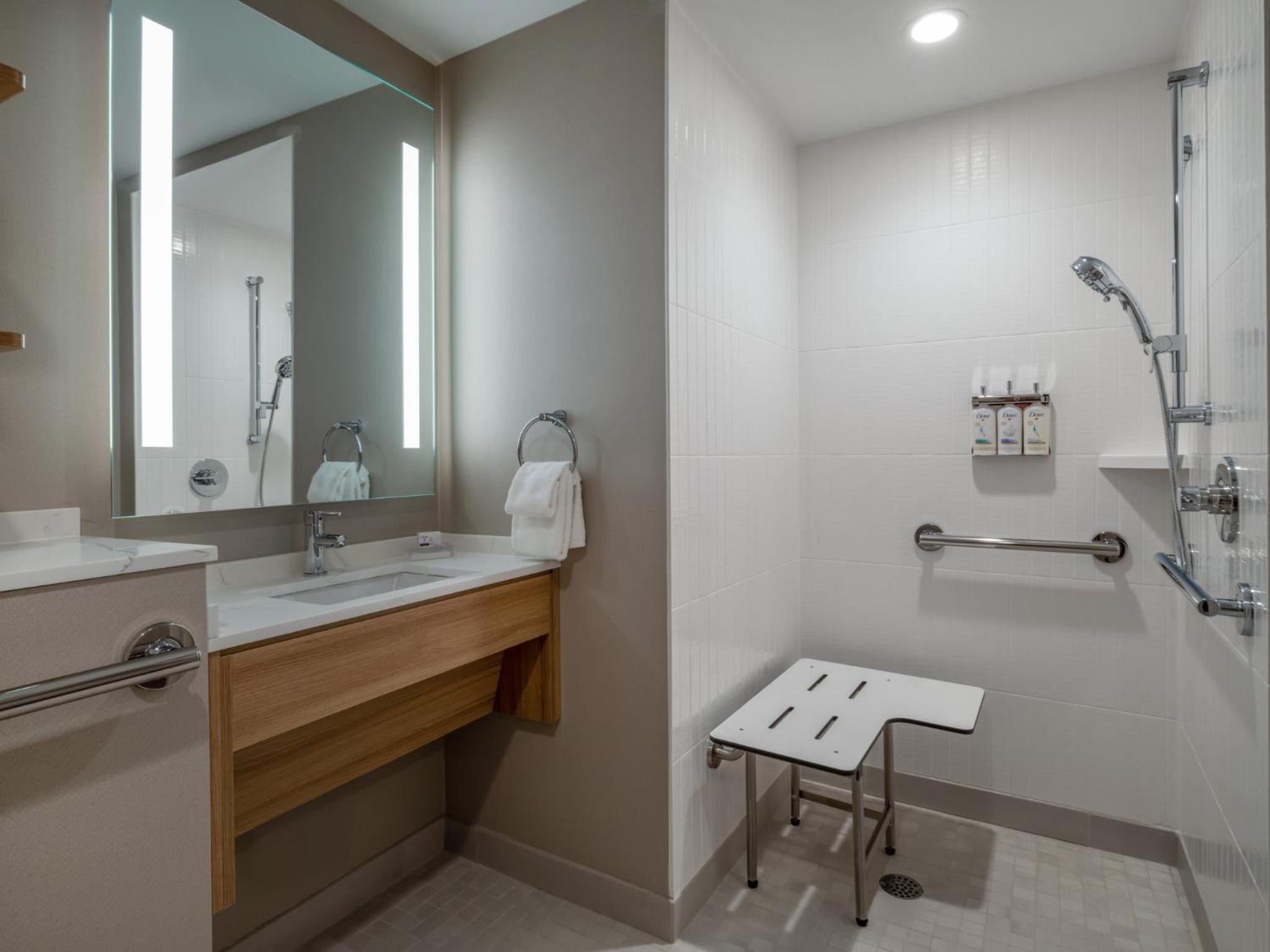 King Studio Suite with Roll-In Shower - Photo 7