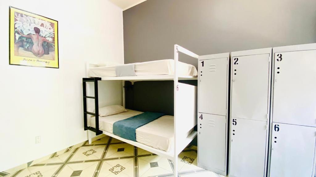 6-Bed Mixed Dormitory Room photo 1