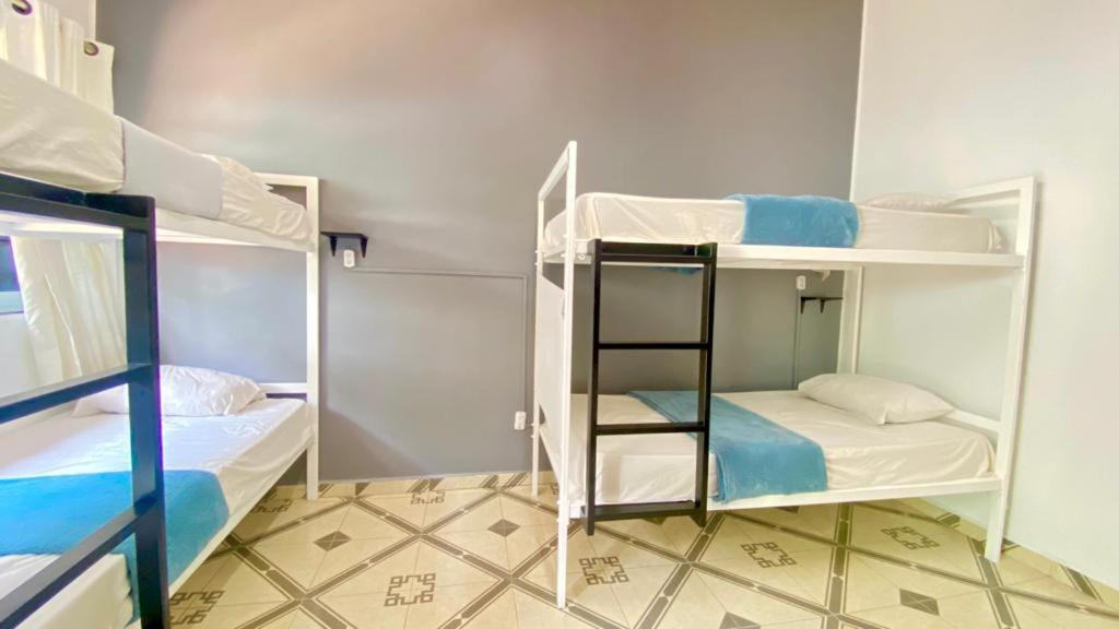 6-Bed Mixed Dormitory Room photo 2