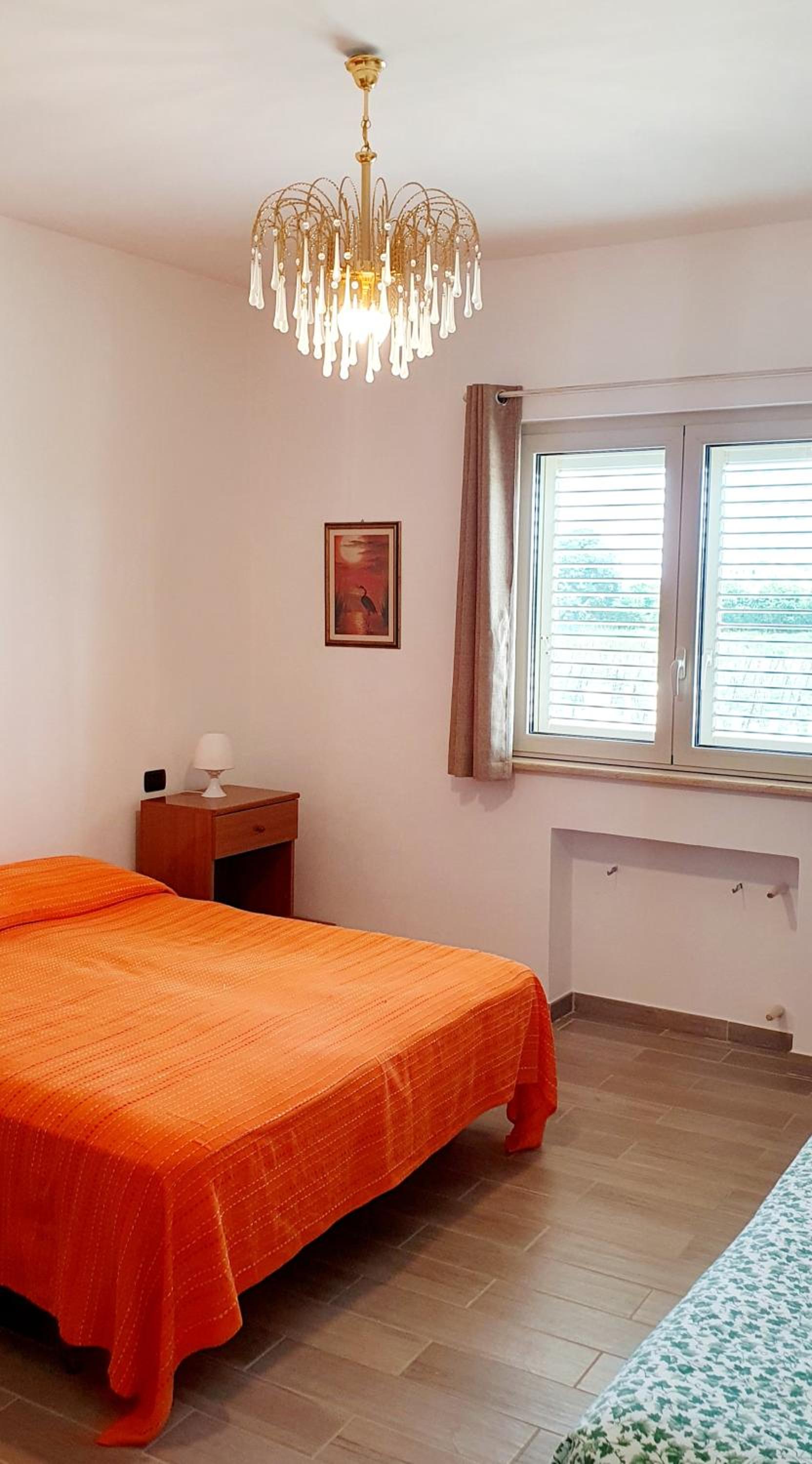 One-Bedroom House photo 3