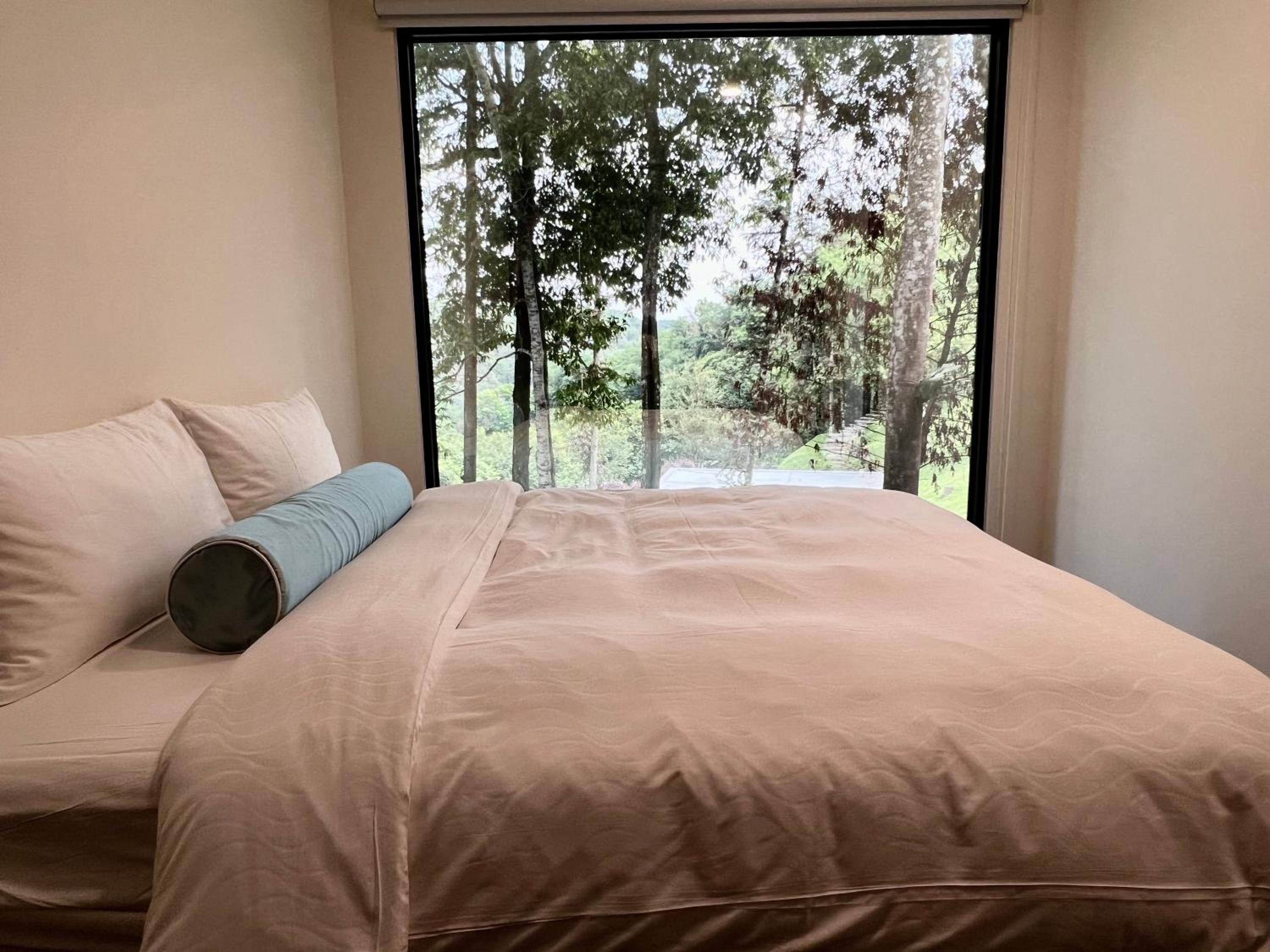 King Room with Mountain View photo 1