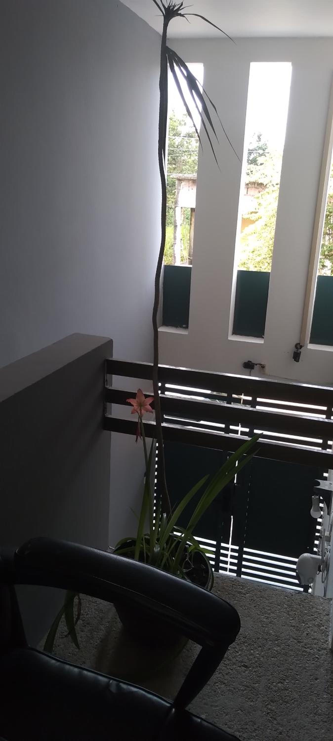 One-Bedroom Apartment - Photo 25