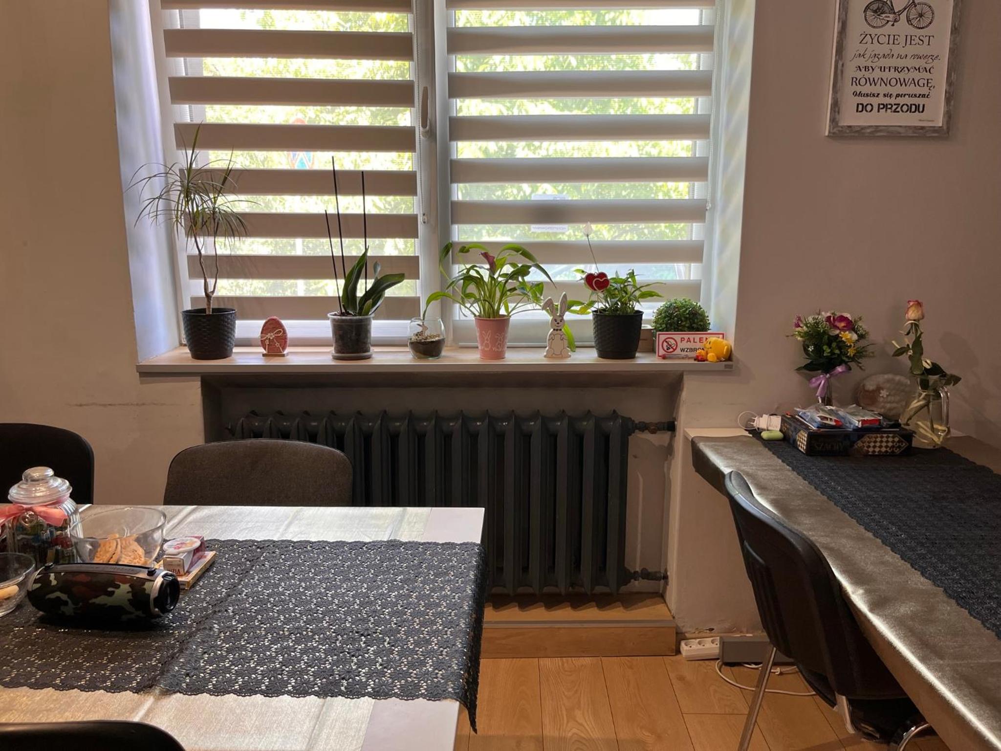 Family Studio - Photo 4