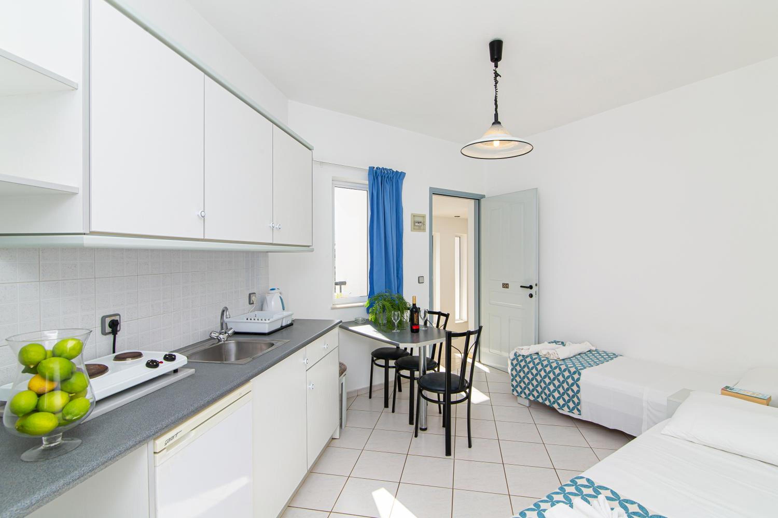 One-Bedroom Apartment (4 Adults) photo 3