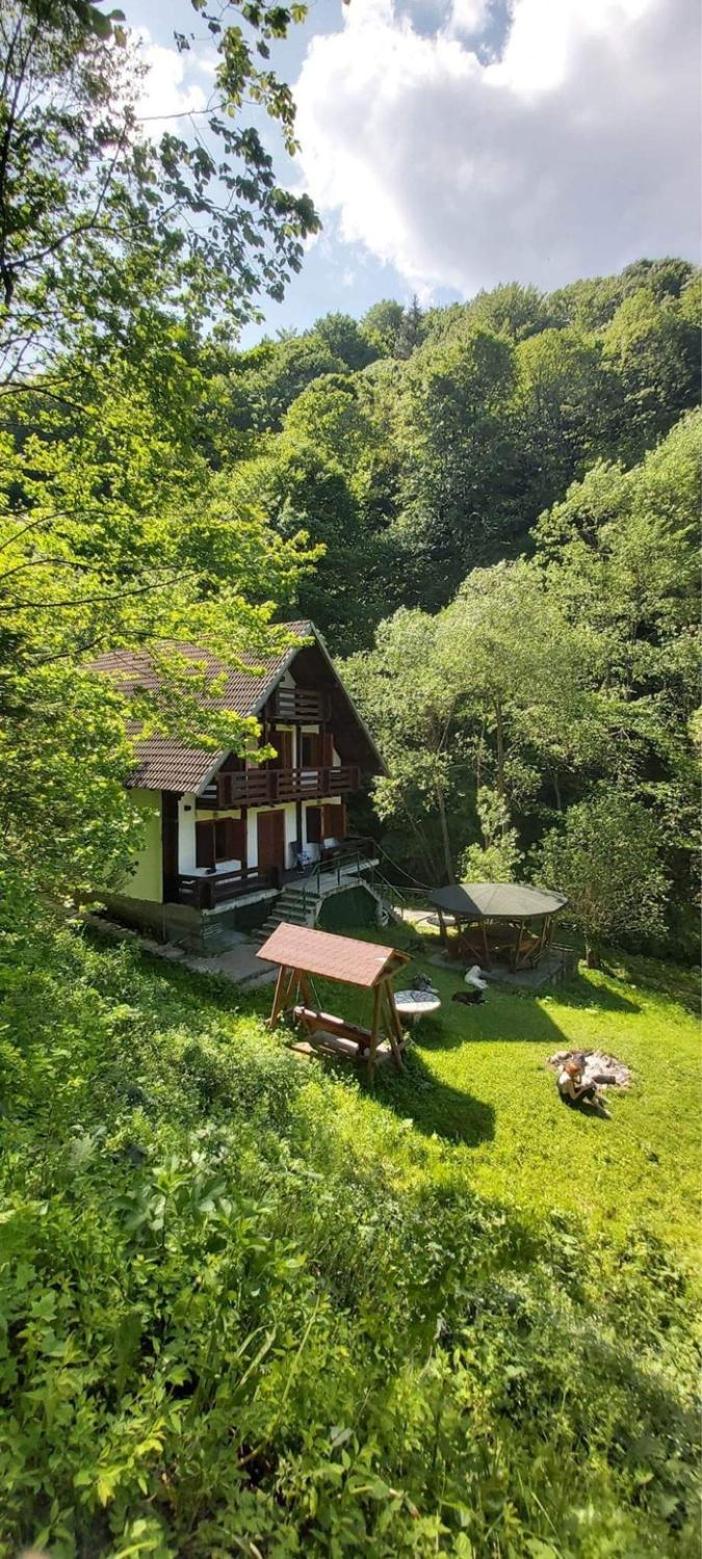 Chalet photo 3