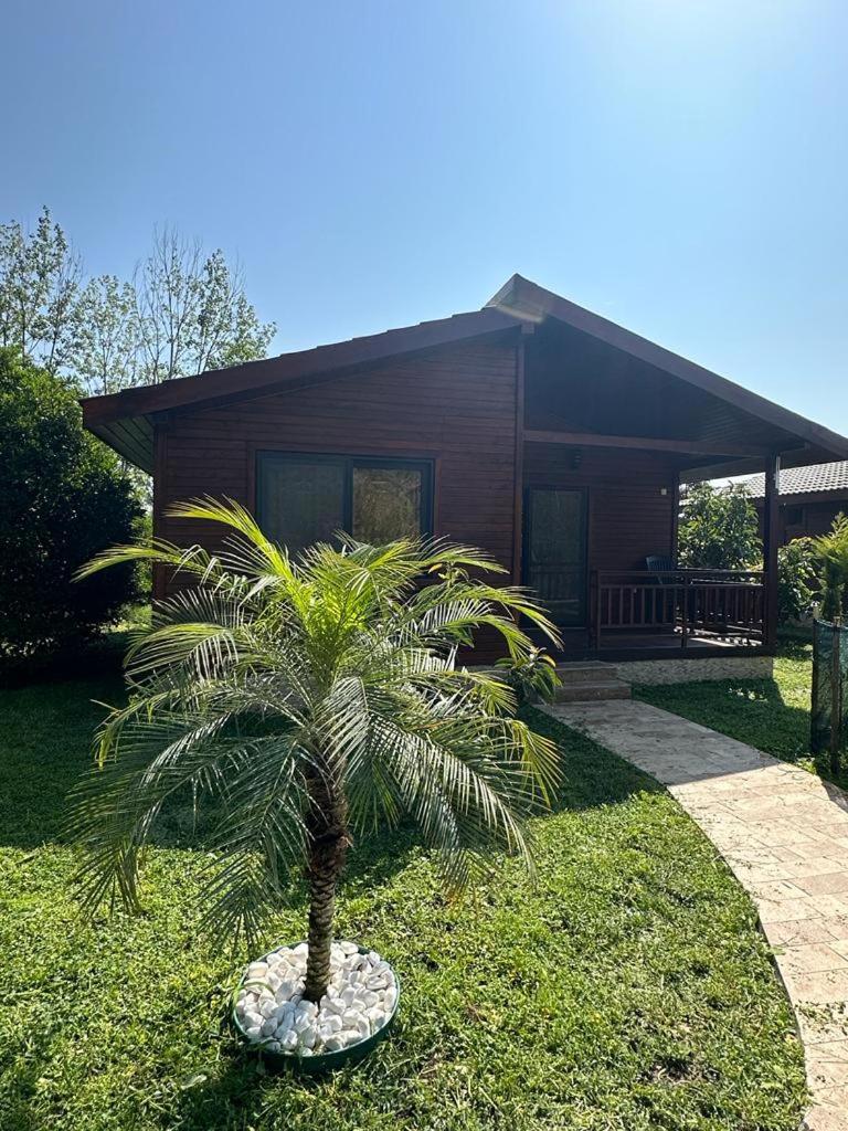 Deluxe Villa photo 2