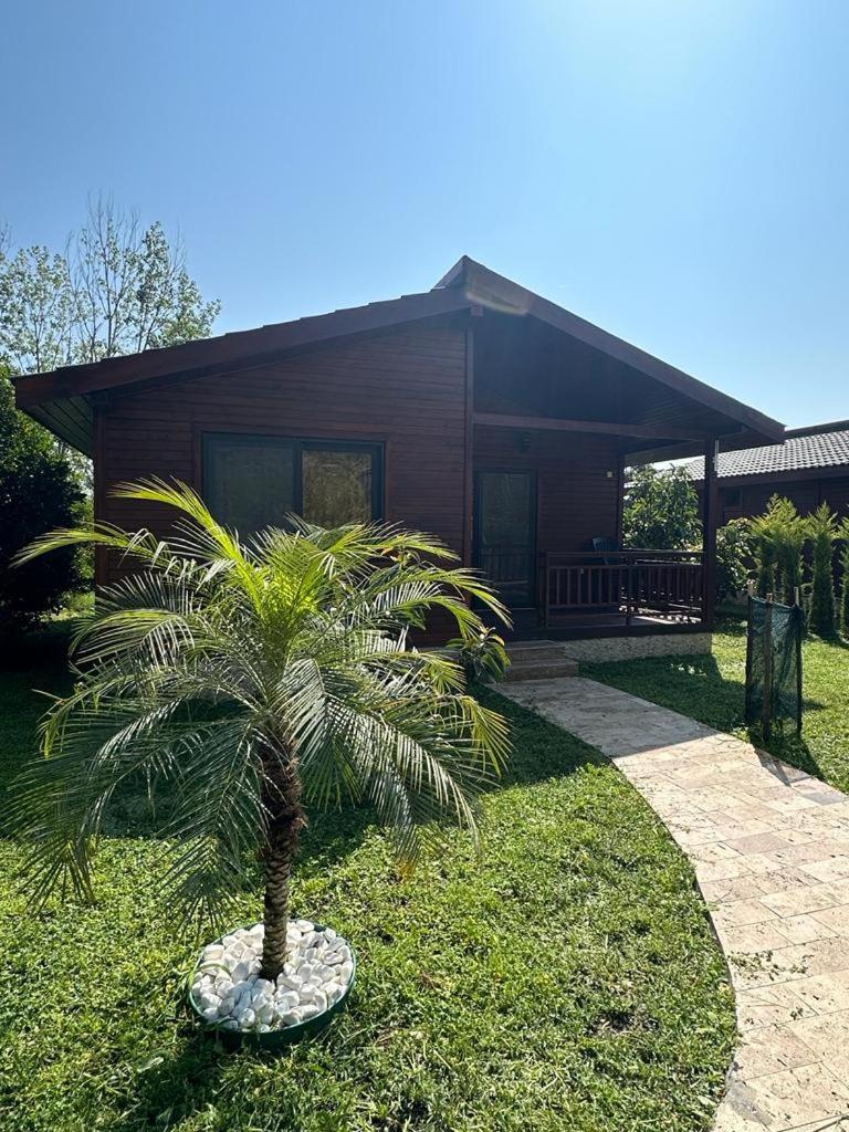 Two-Bedroom Villa photo 2