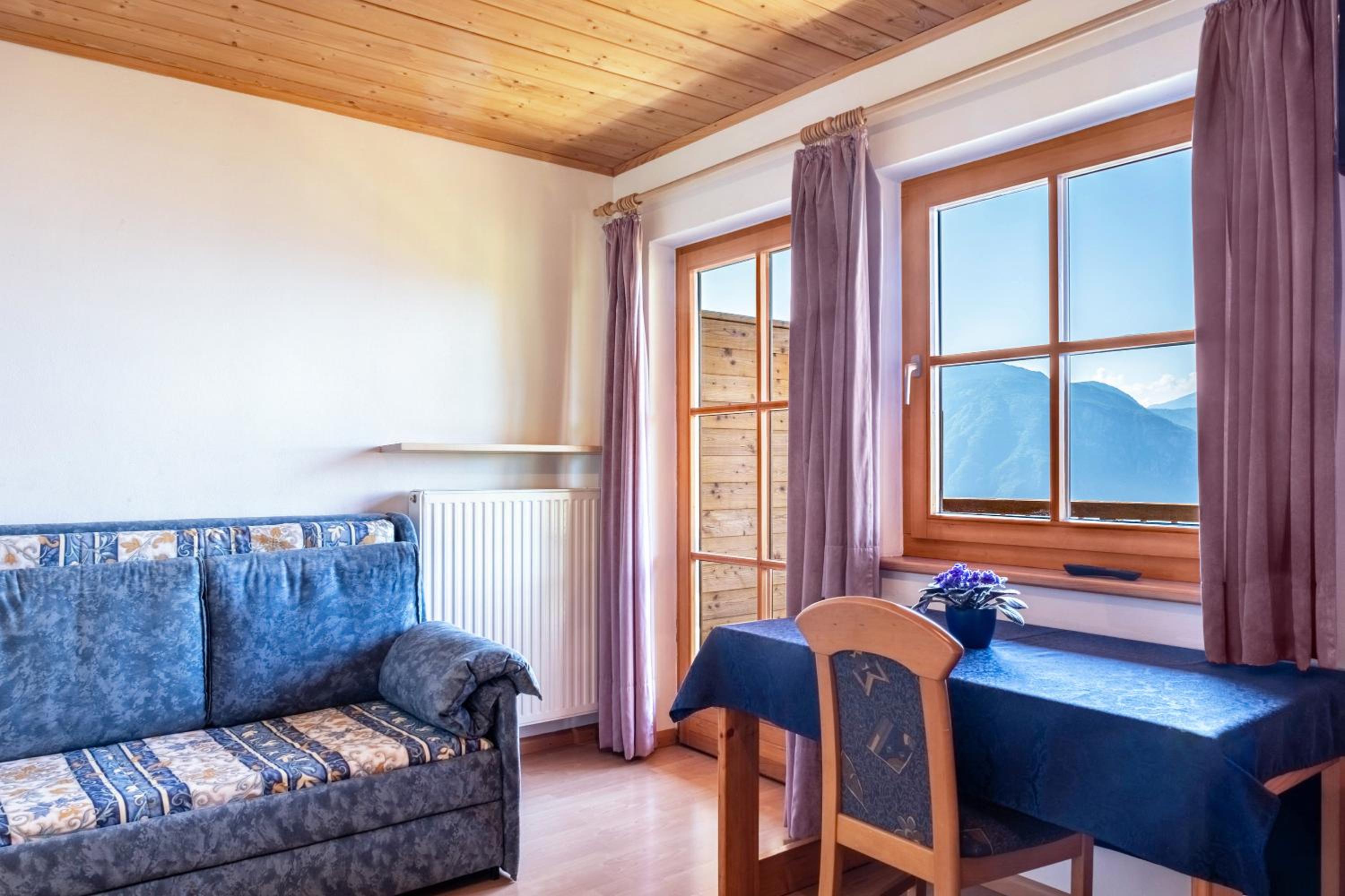 Superior One-Bedroom Apartment with Balcony photo 1