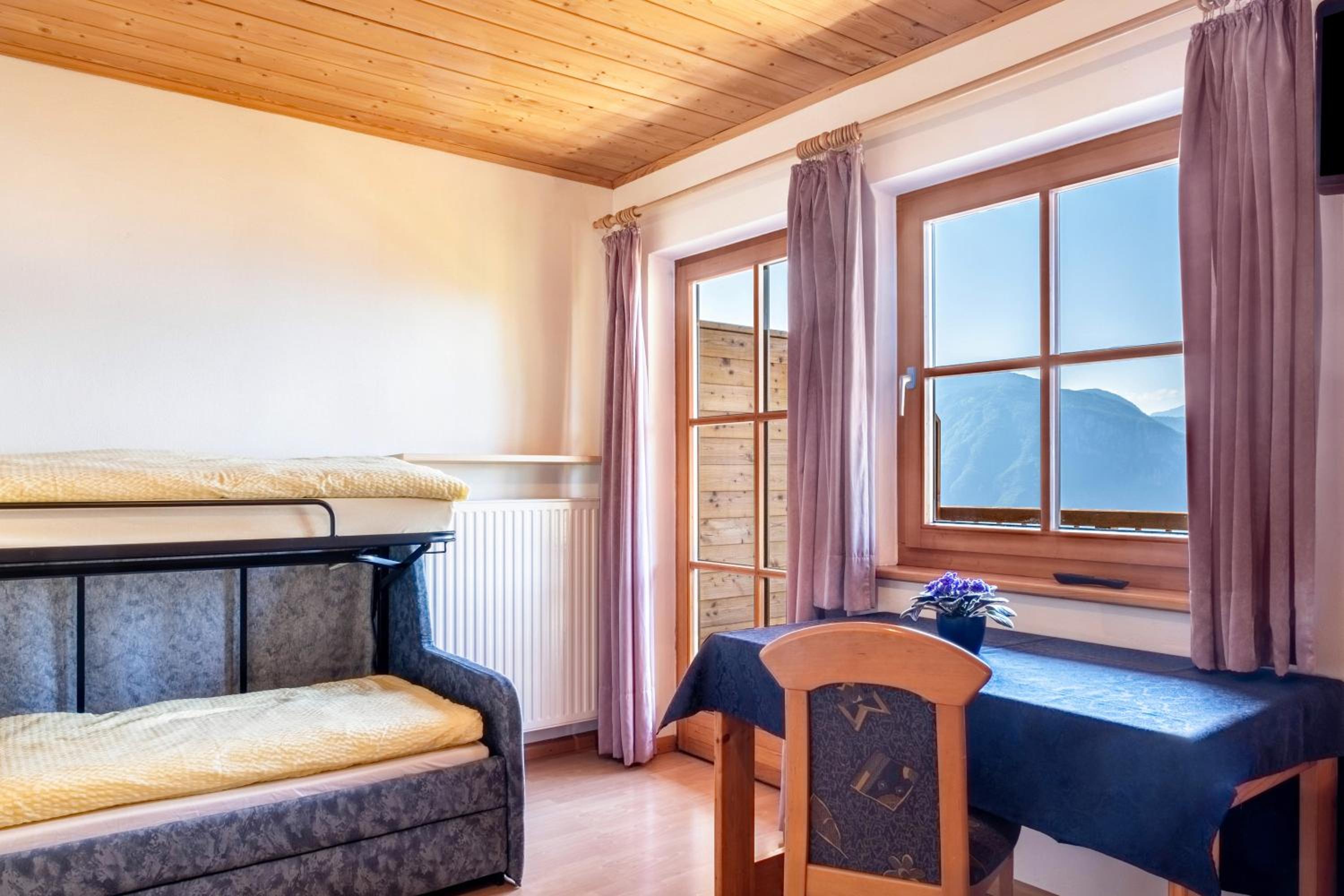 Superior One-Bedroom Apartment with Balcony photo 2