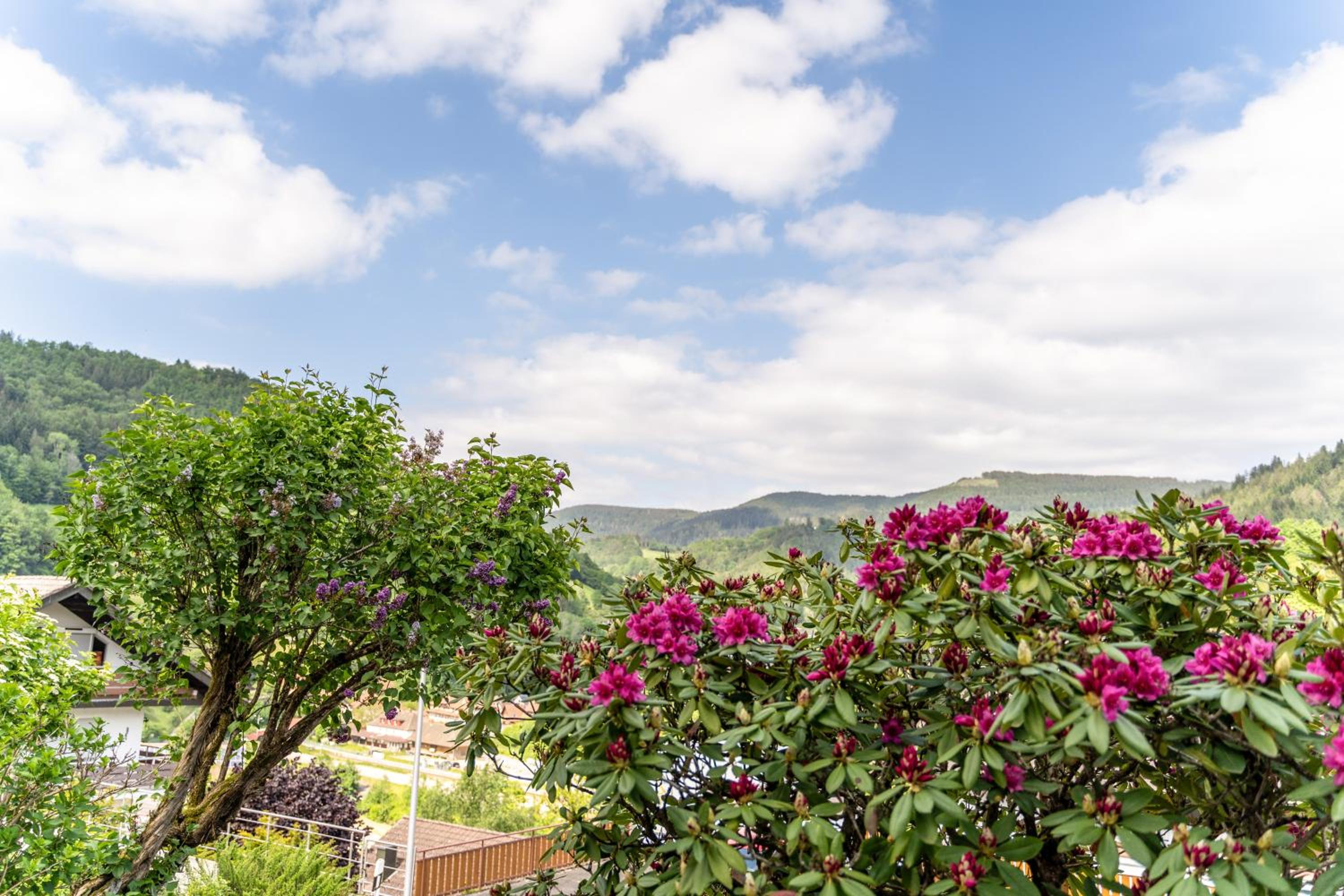 One-Bedroom Apartment with Garden View photo 2