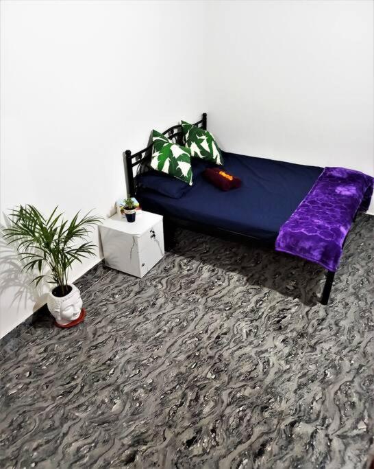 Two-Bedroom House photo 2