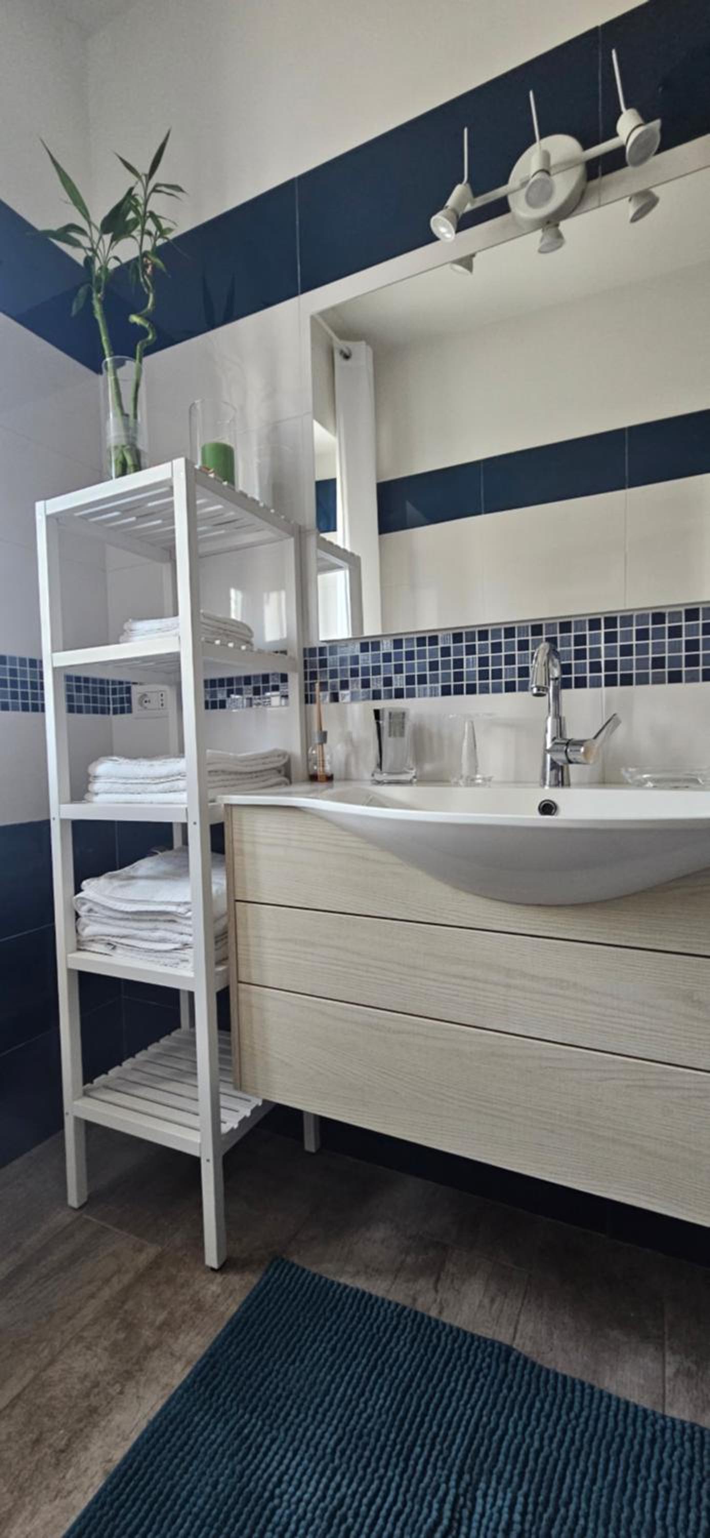 Deluxe Double or Twin Room photo 2
