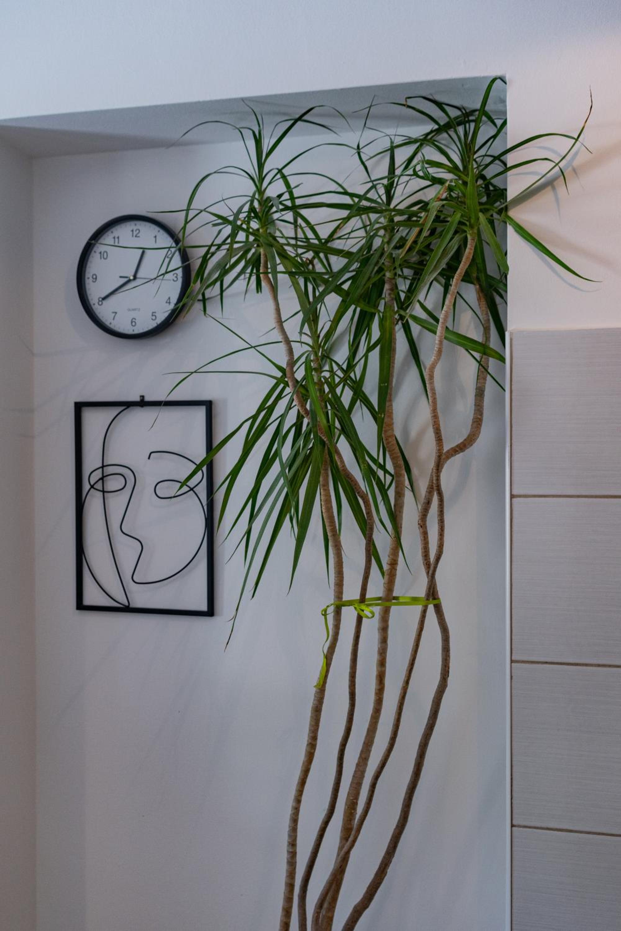 Studio with Terrace - Photo 4