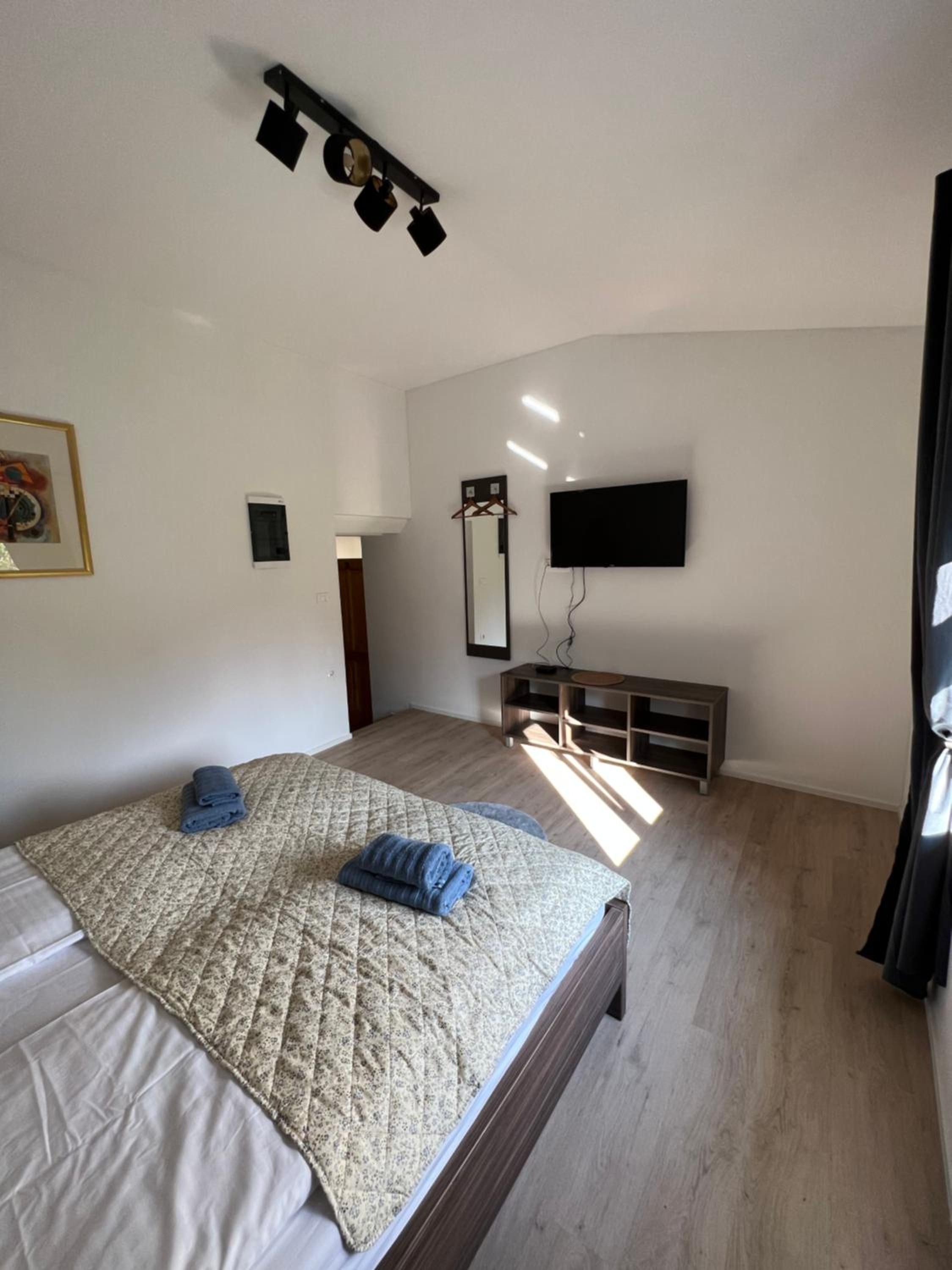 Deluxe Double Room photo 2