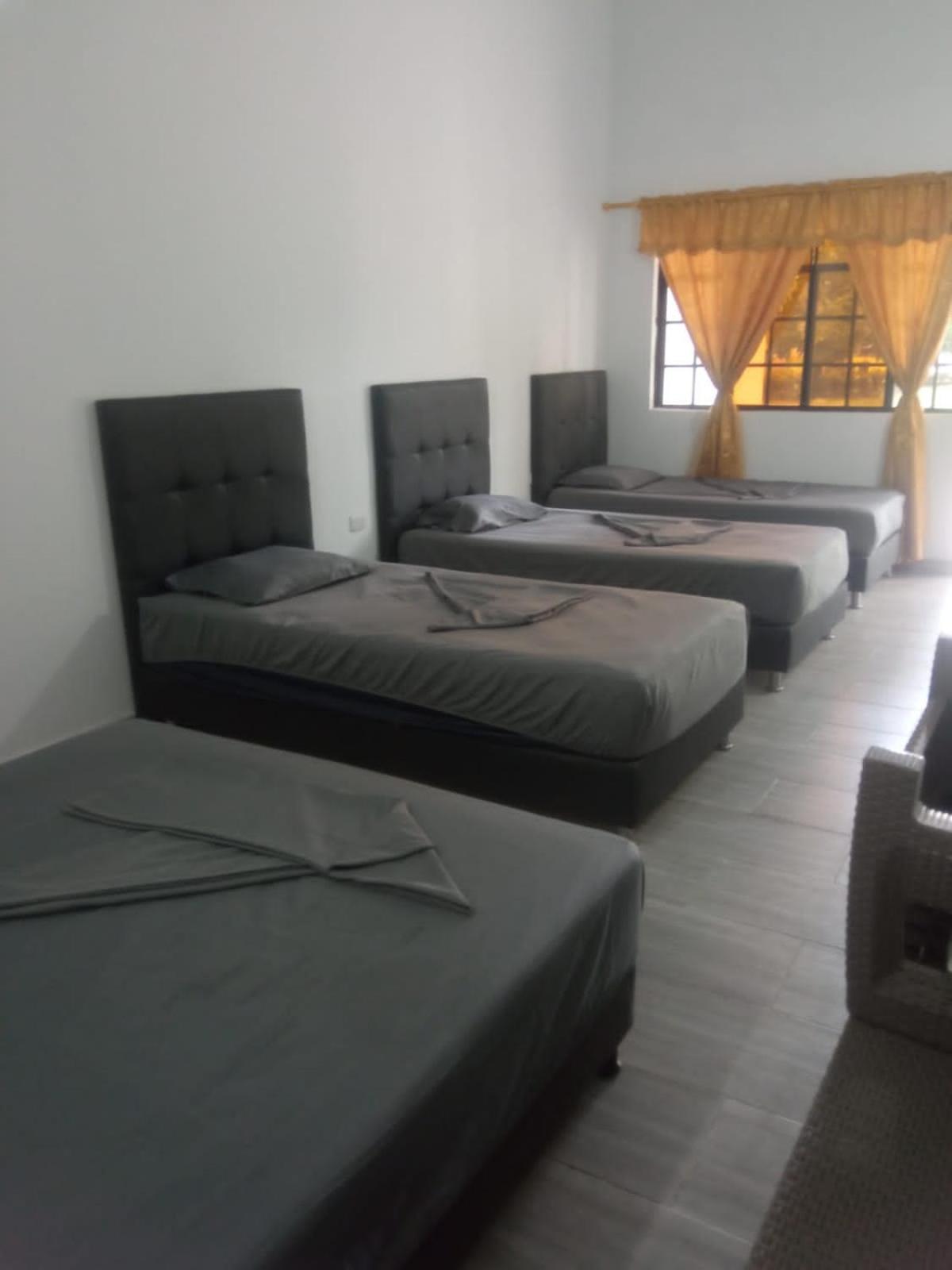 Quadruple Room with Garden View photo 1