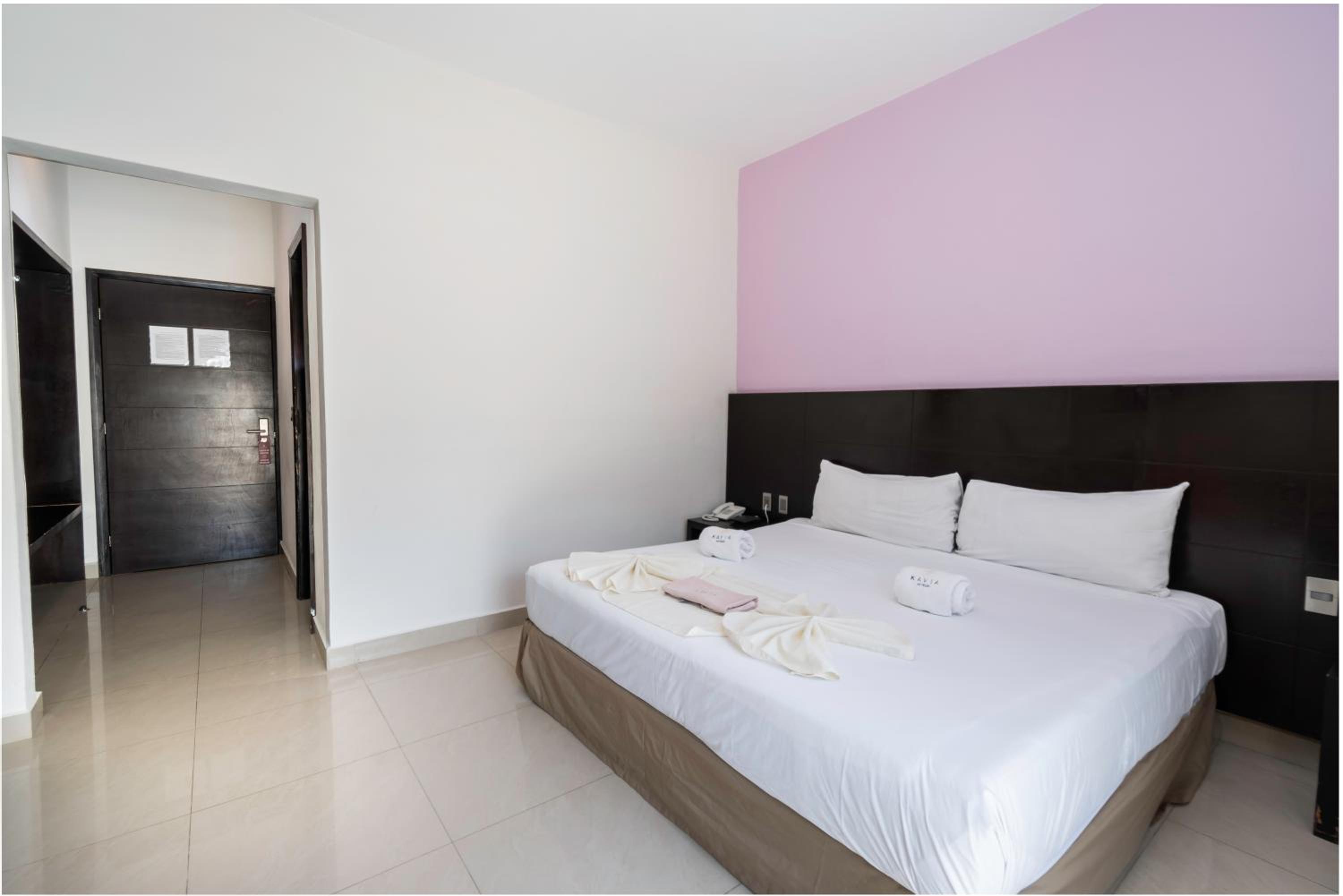 Suite - Photo 14