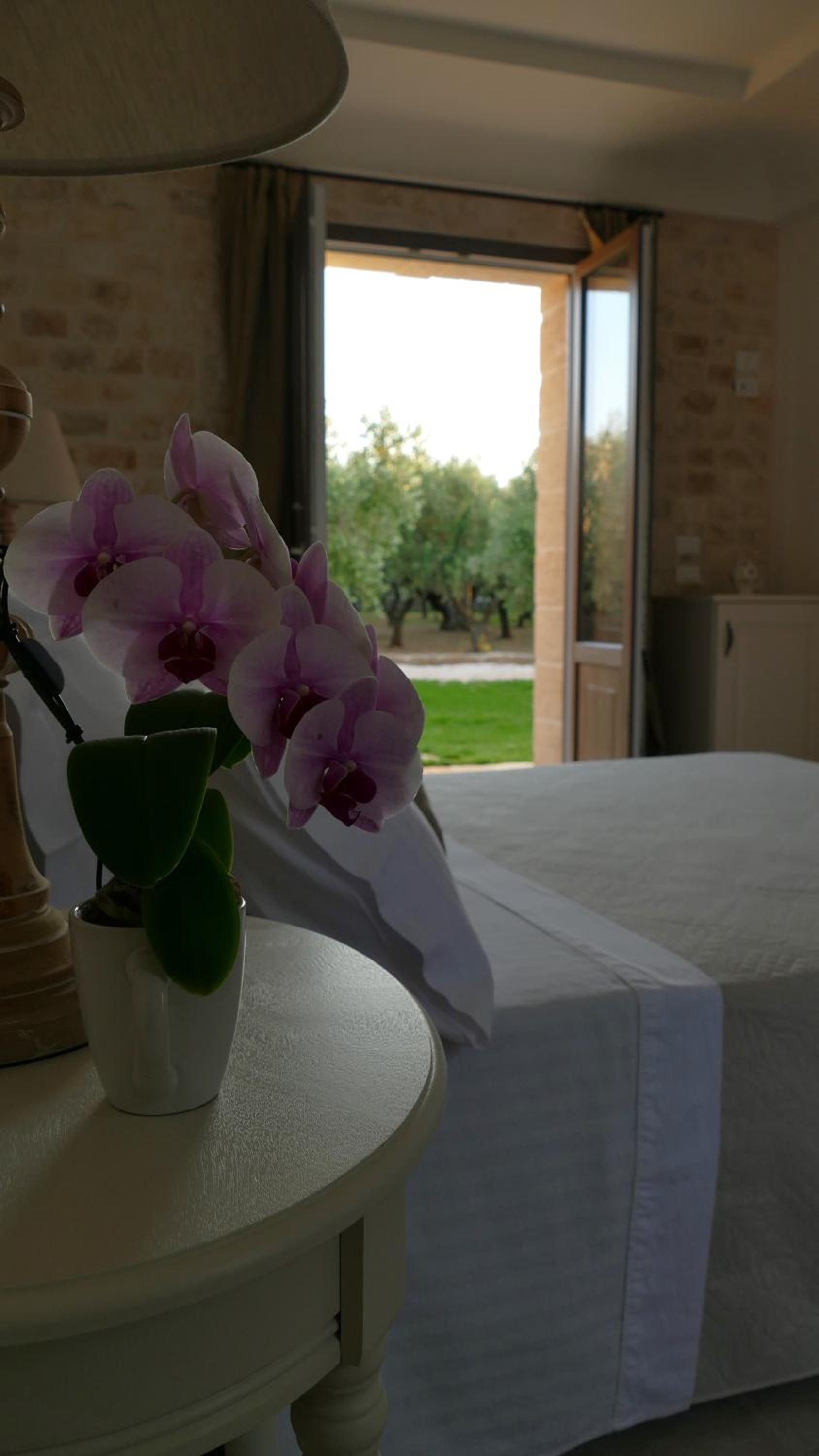 King Room with Garden View