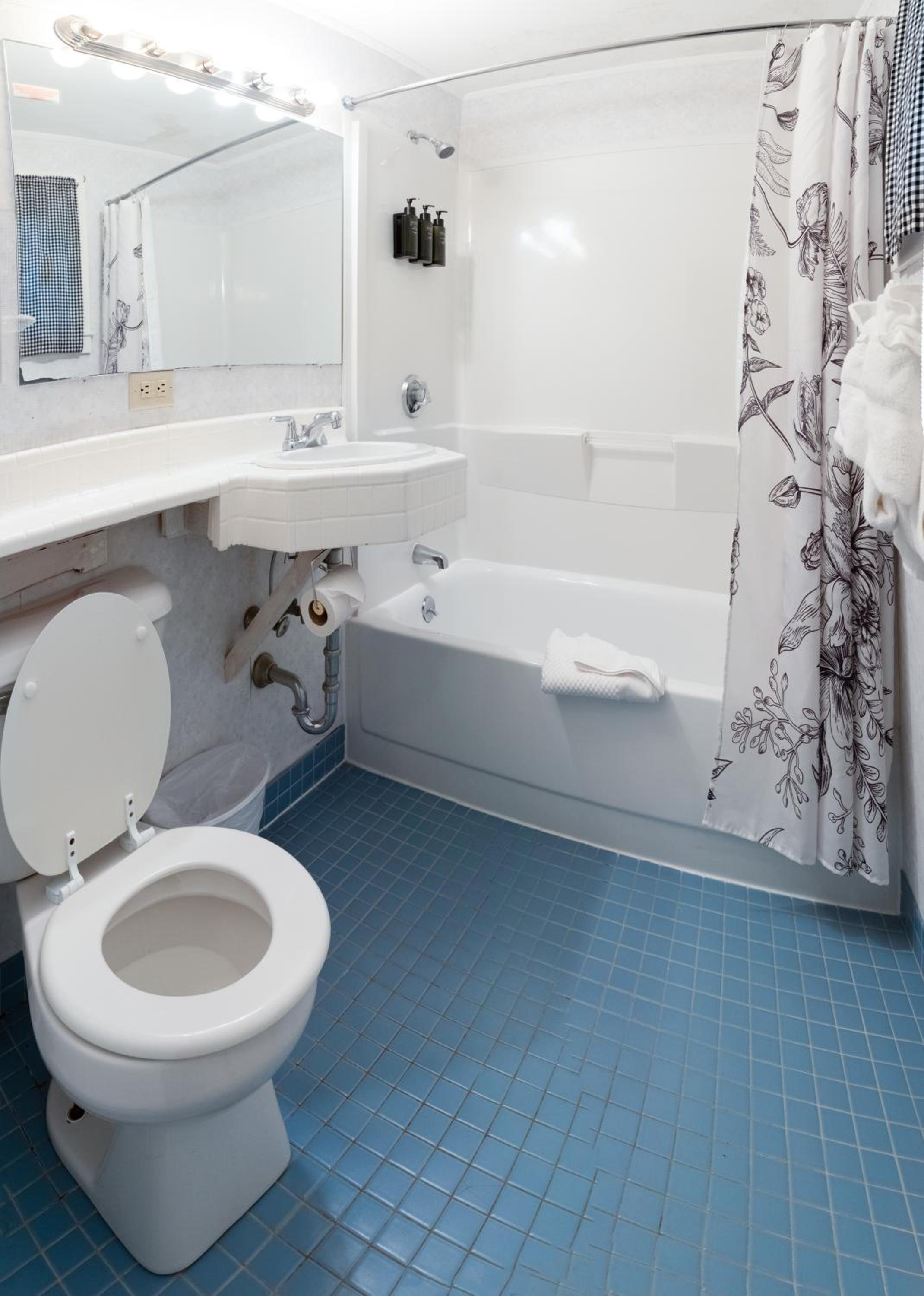 Standard Queen Room photo 2