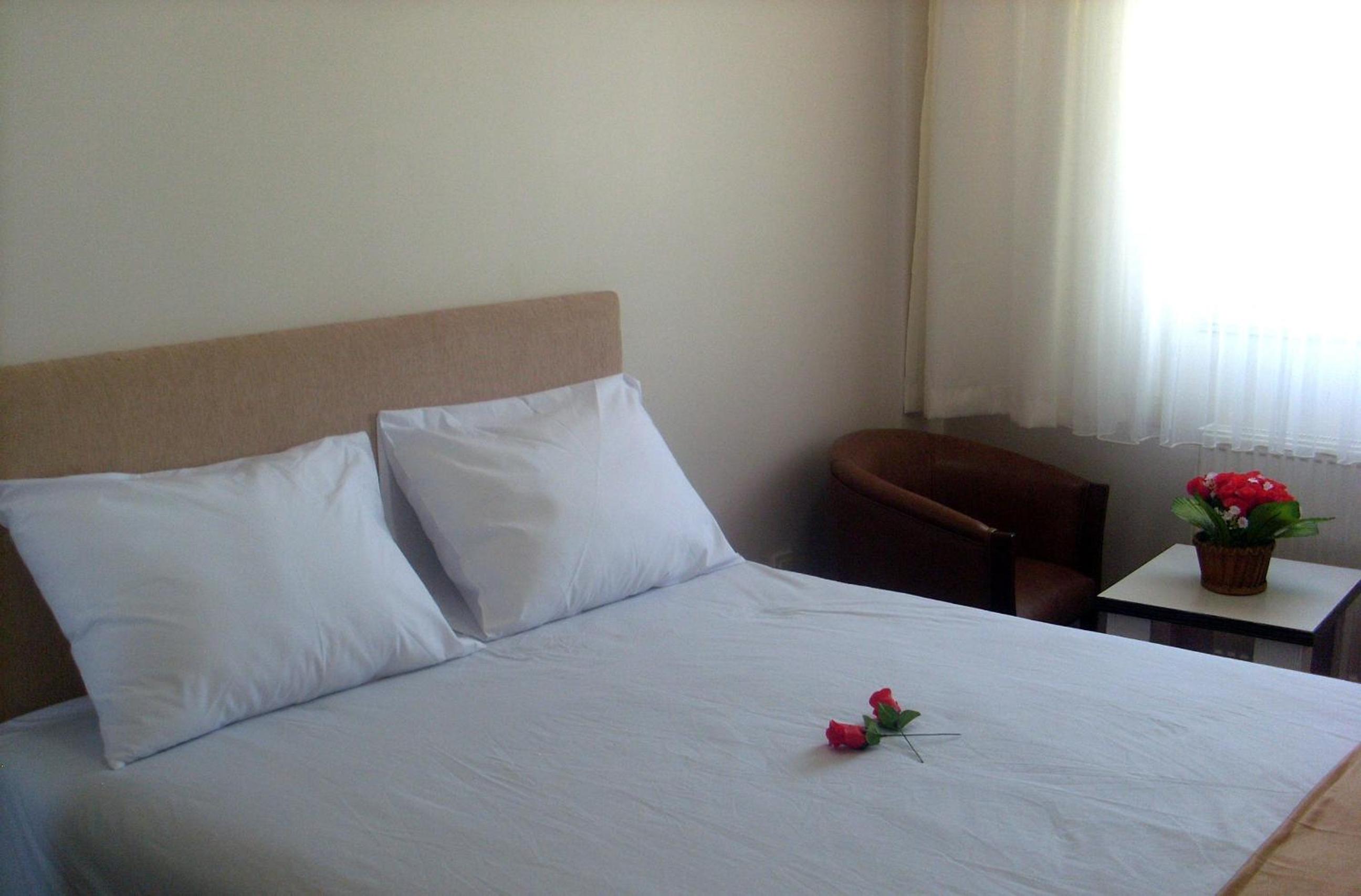 Single Room with Mountain View photo 2